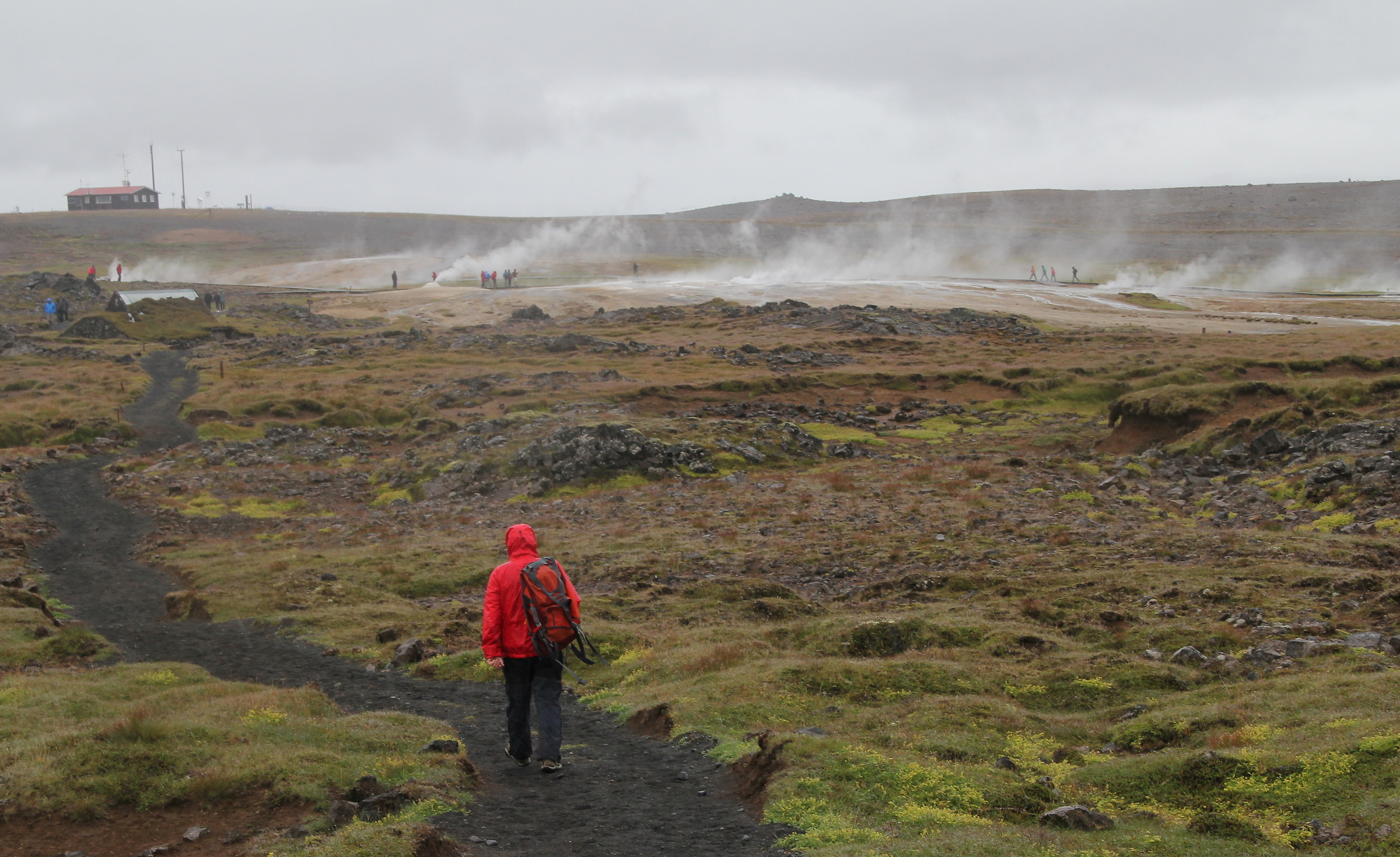 Iceland - Geothermal Area