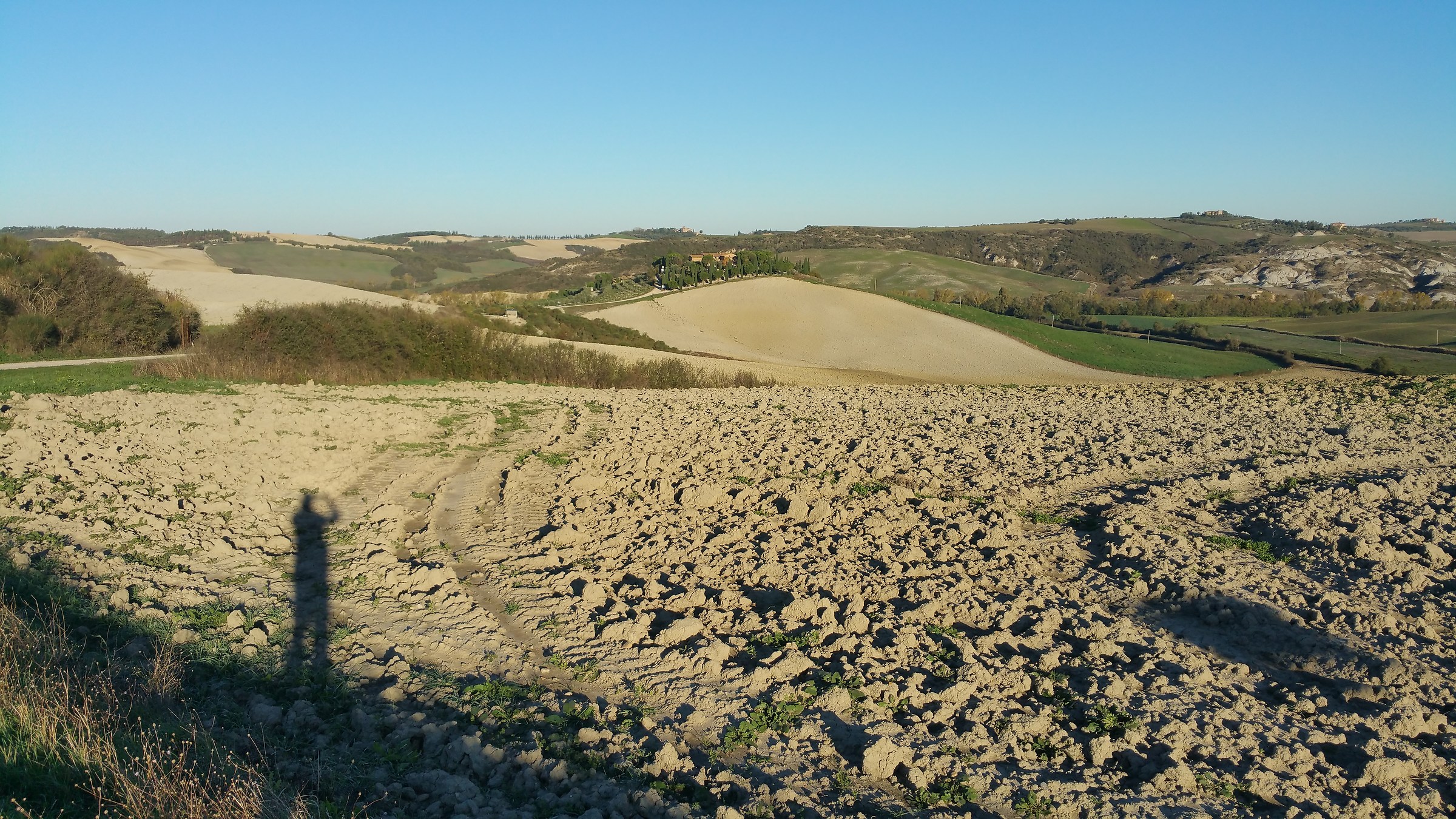 L uomo e il dinosauro