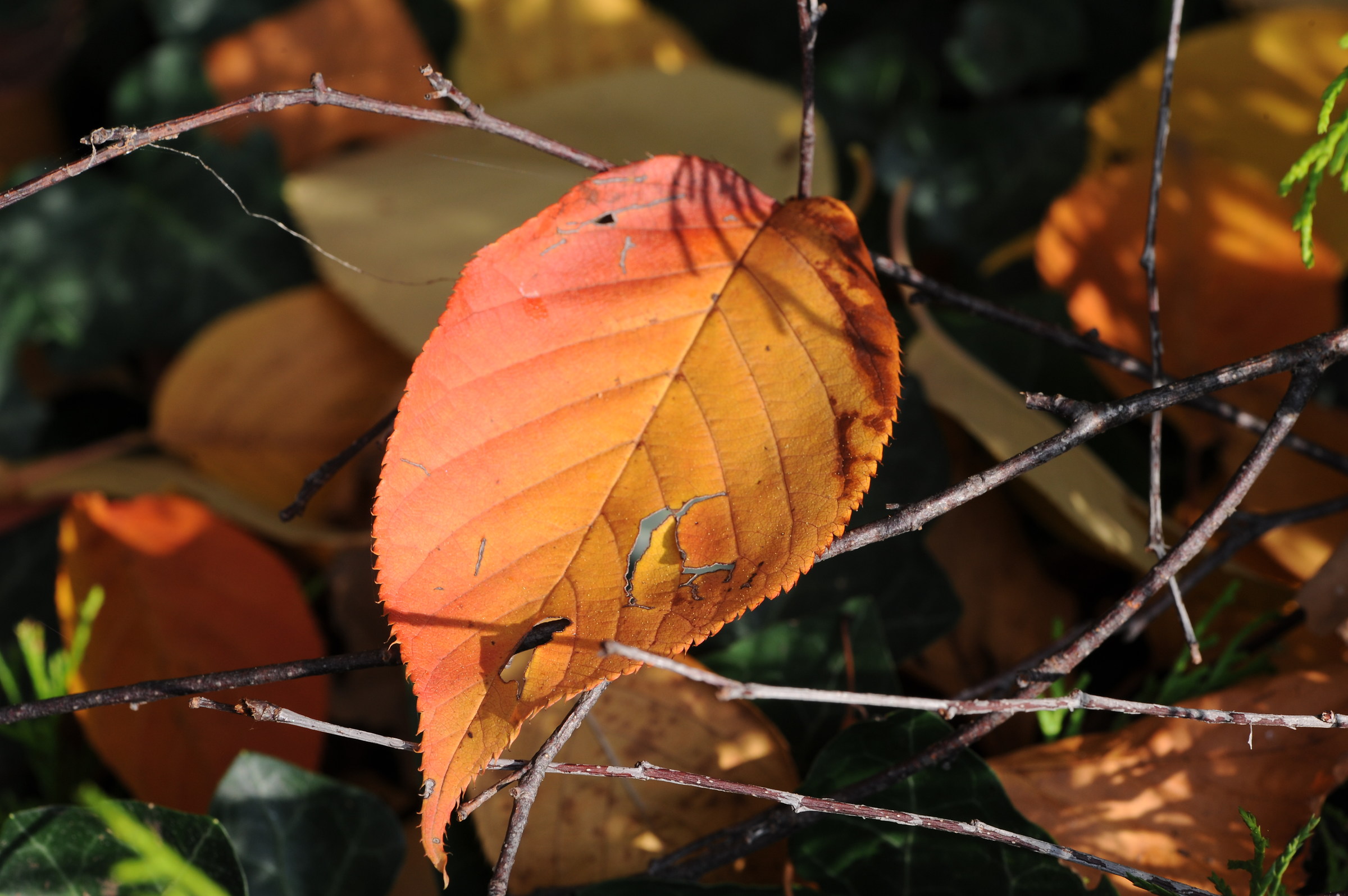 Simple and colorful.