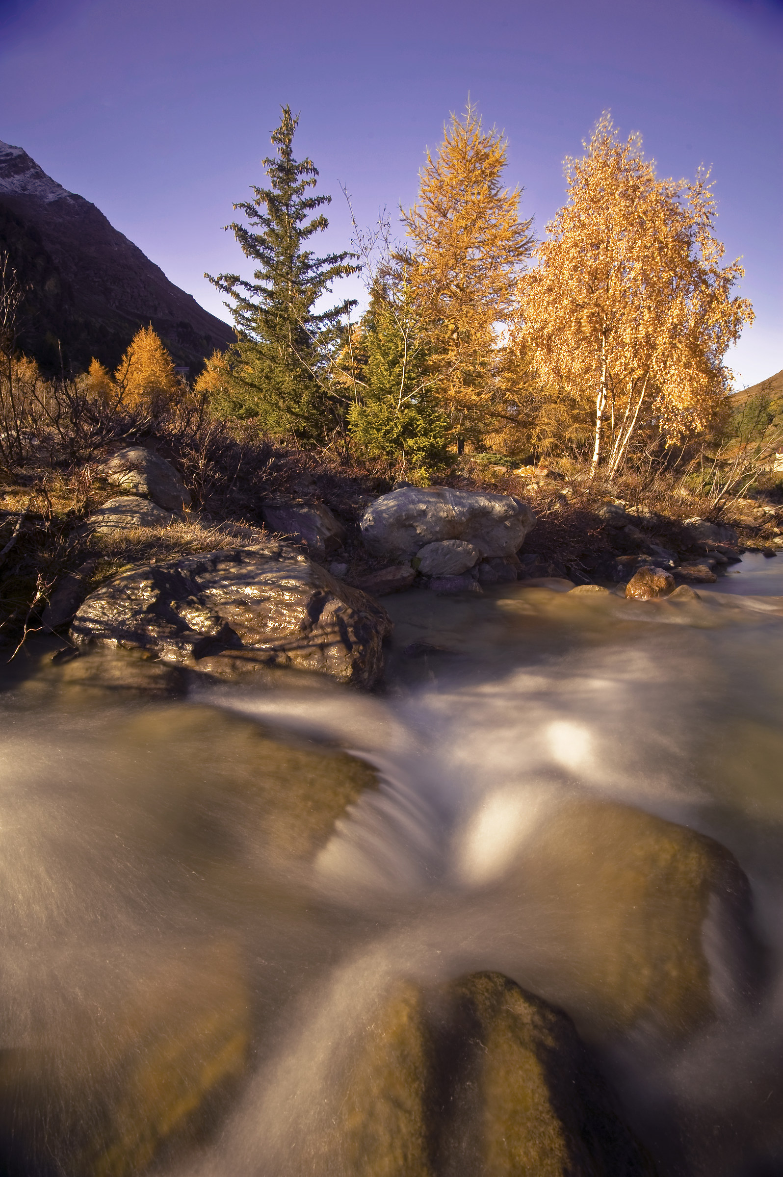 Le stagioni scorrono
