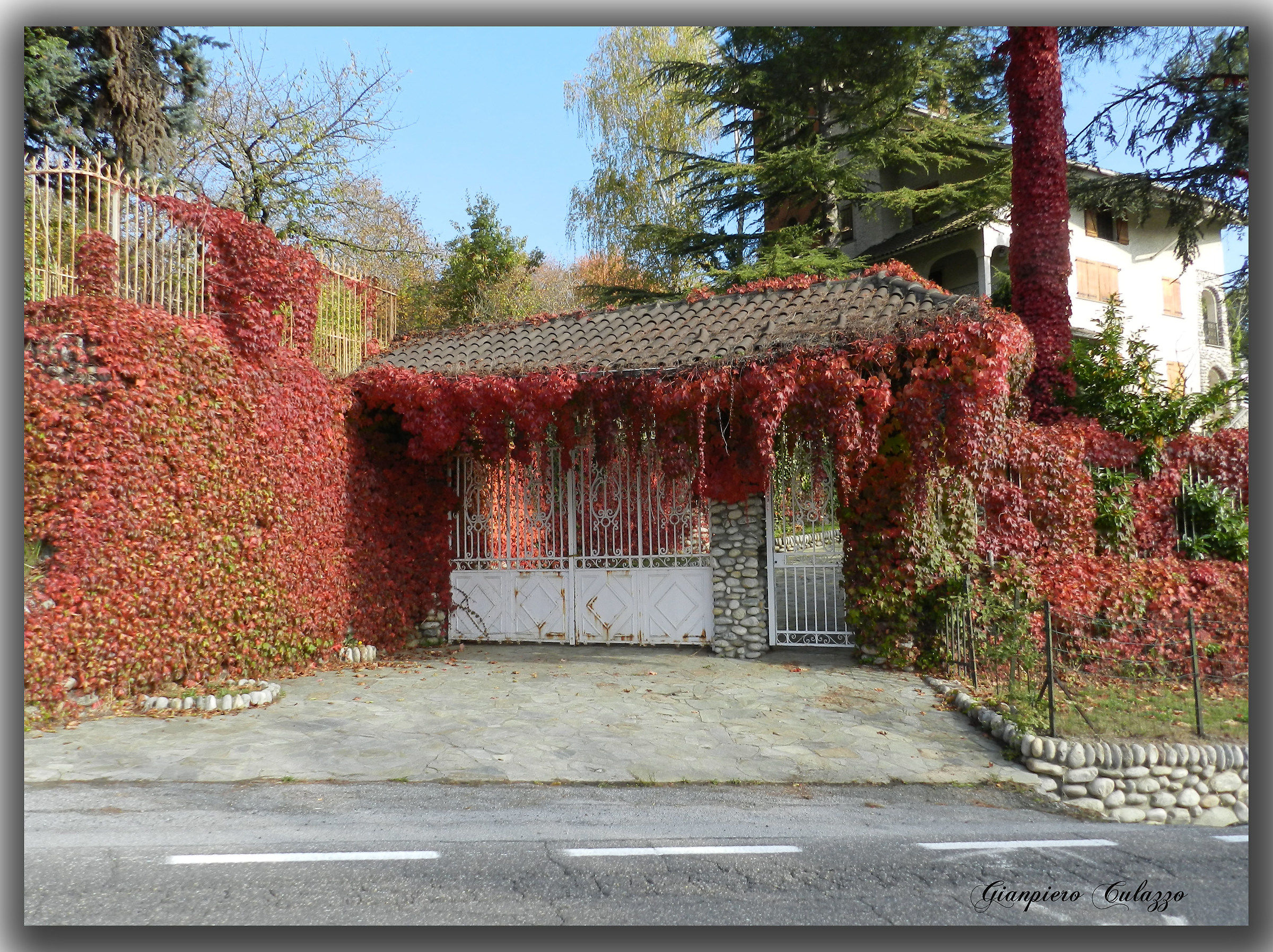 L'autunno si tinge di rosso