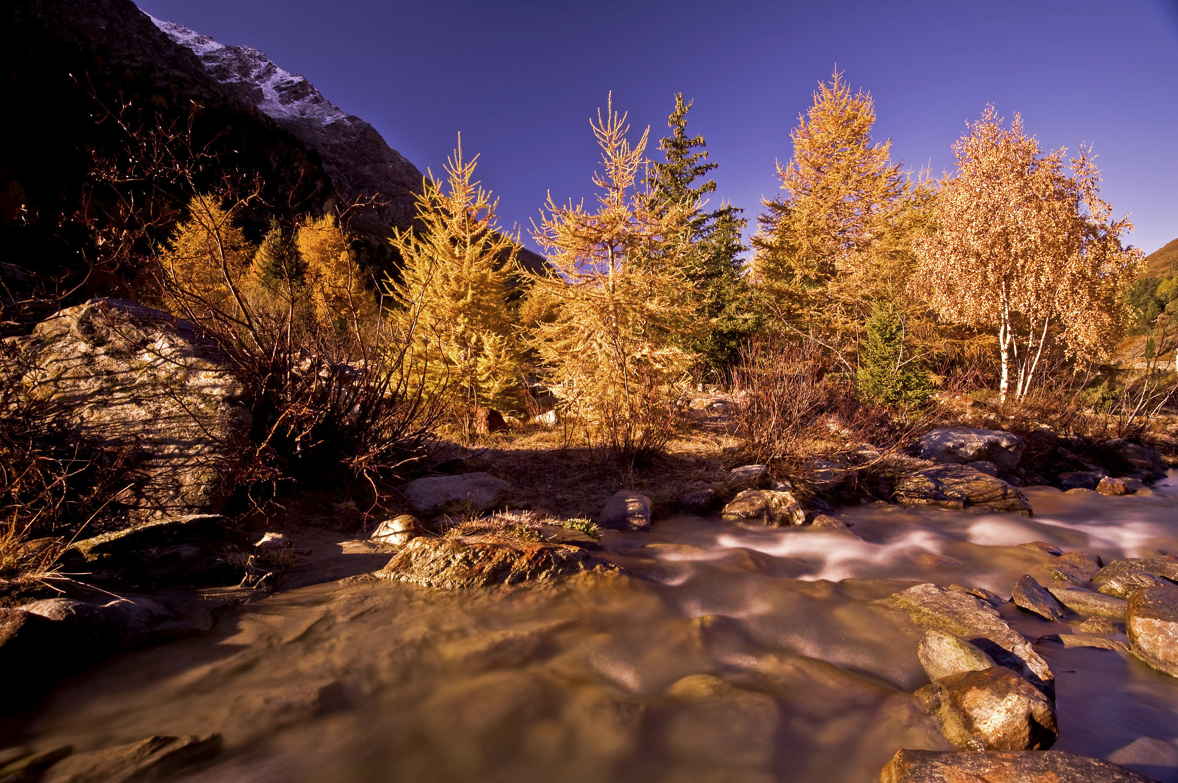 Autunno in Valle dei Forni