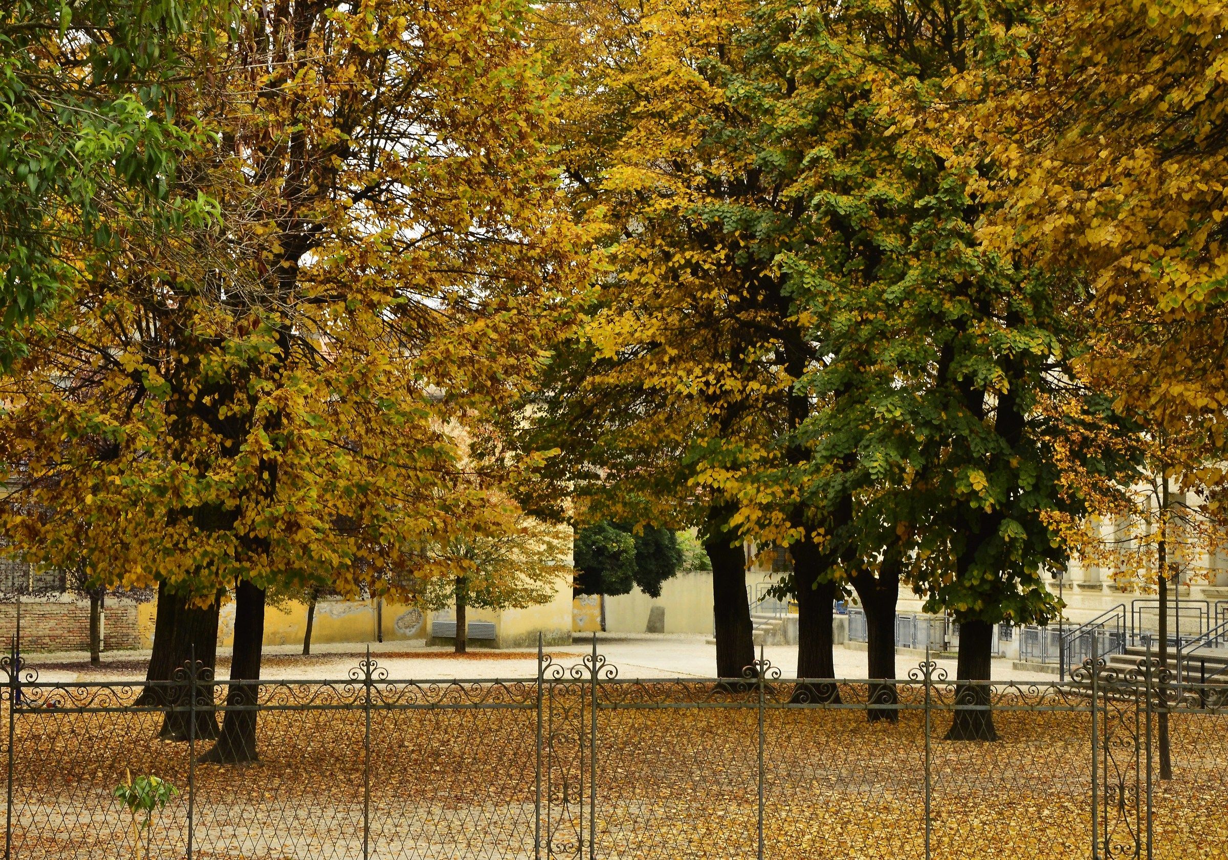 Il cortile della scuola De Amicis