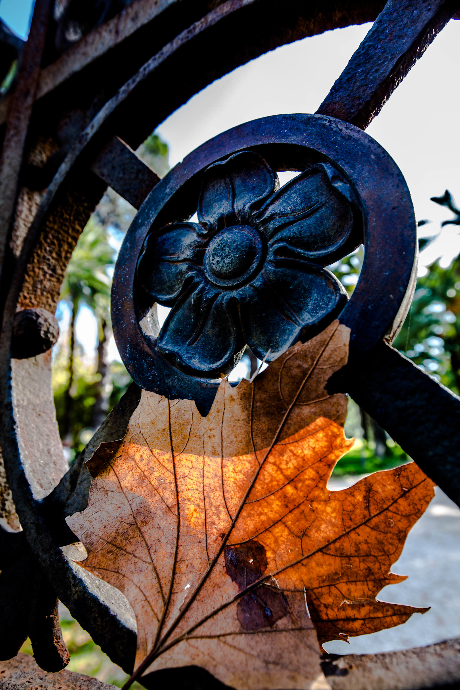 cancello villa torlonia