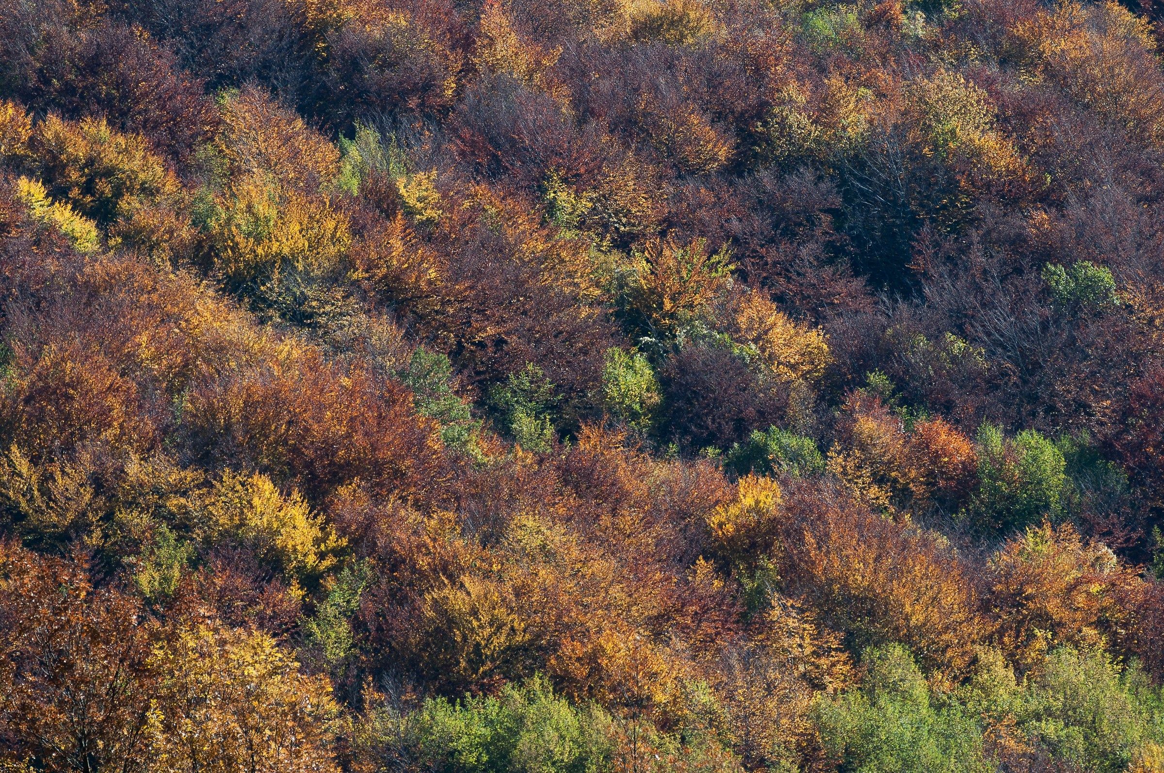 Come pennellate... 3