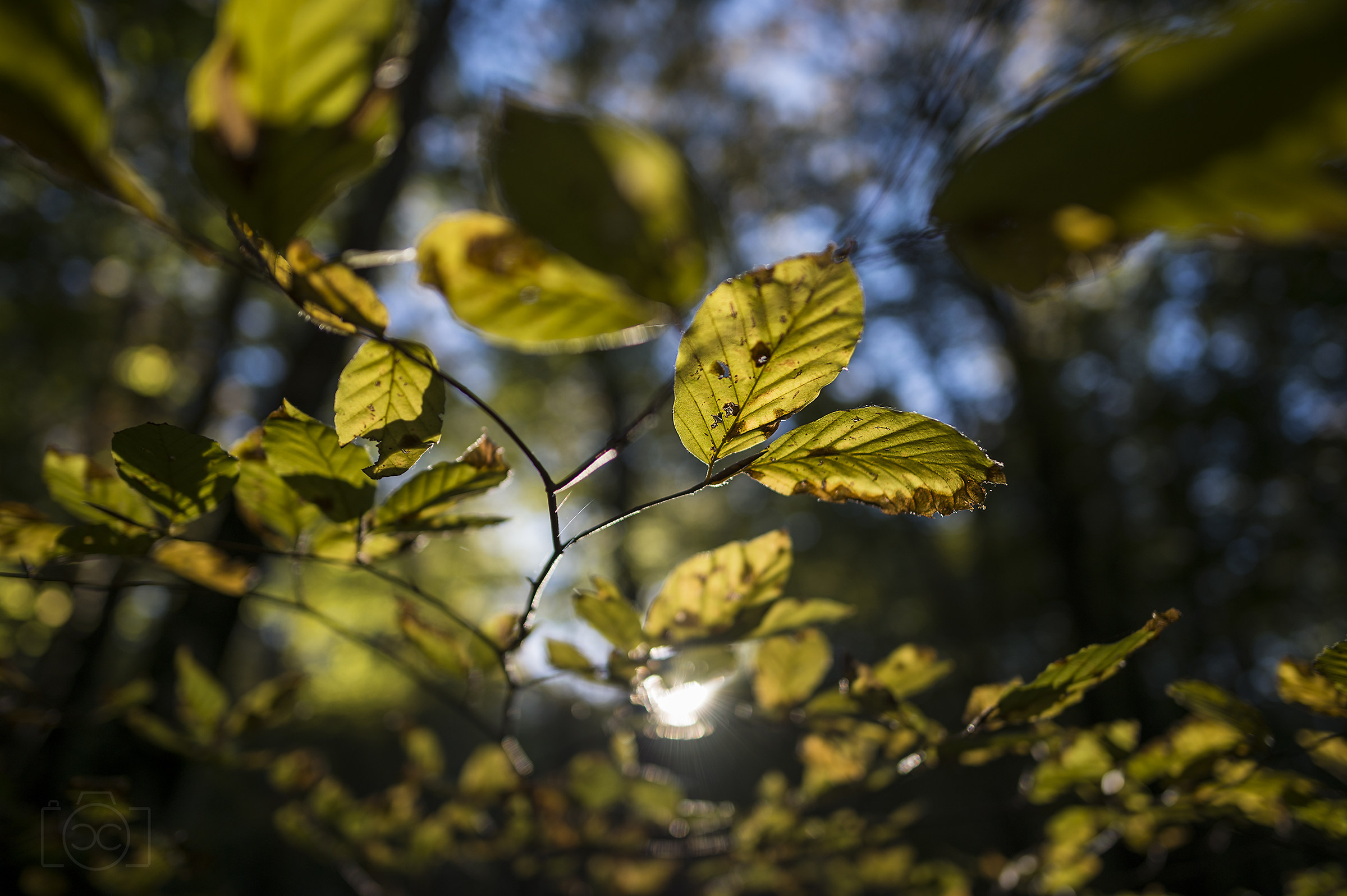 Nikkor 24mm f1.8 G ED af-s