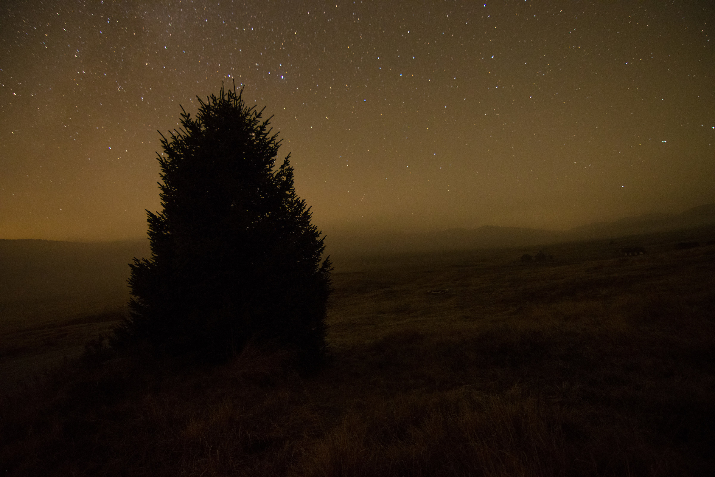 La notte delle streghe