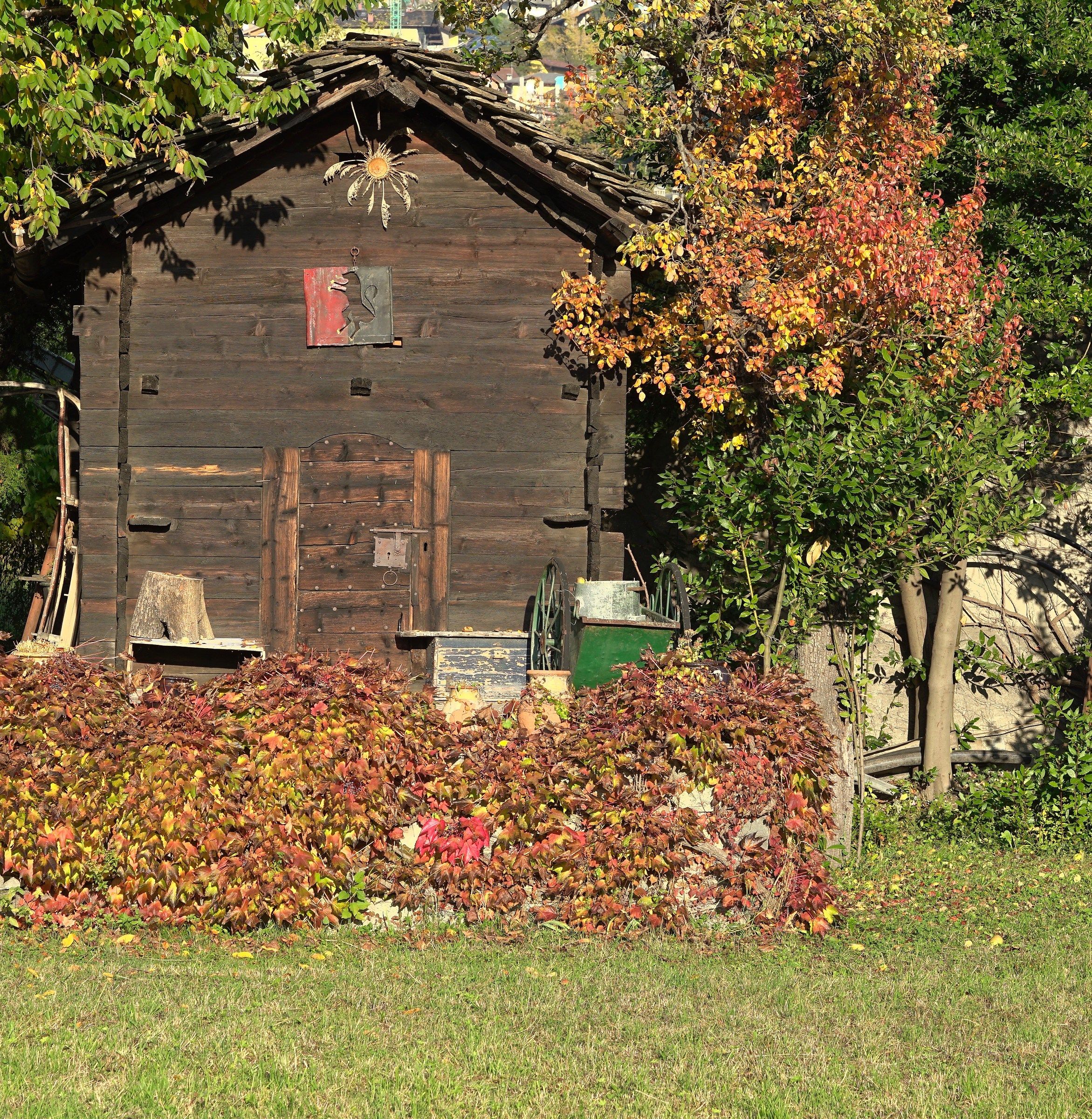 Casetta nella foresta