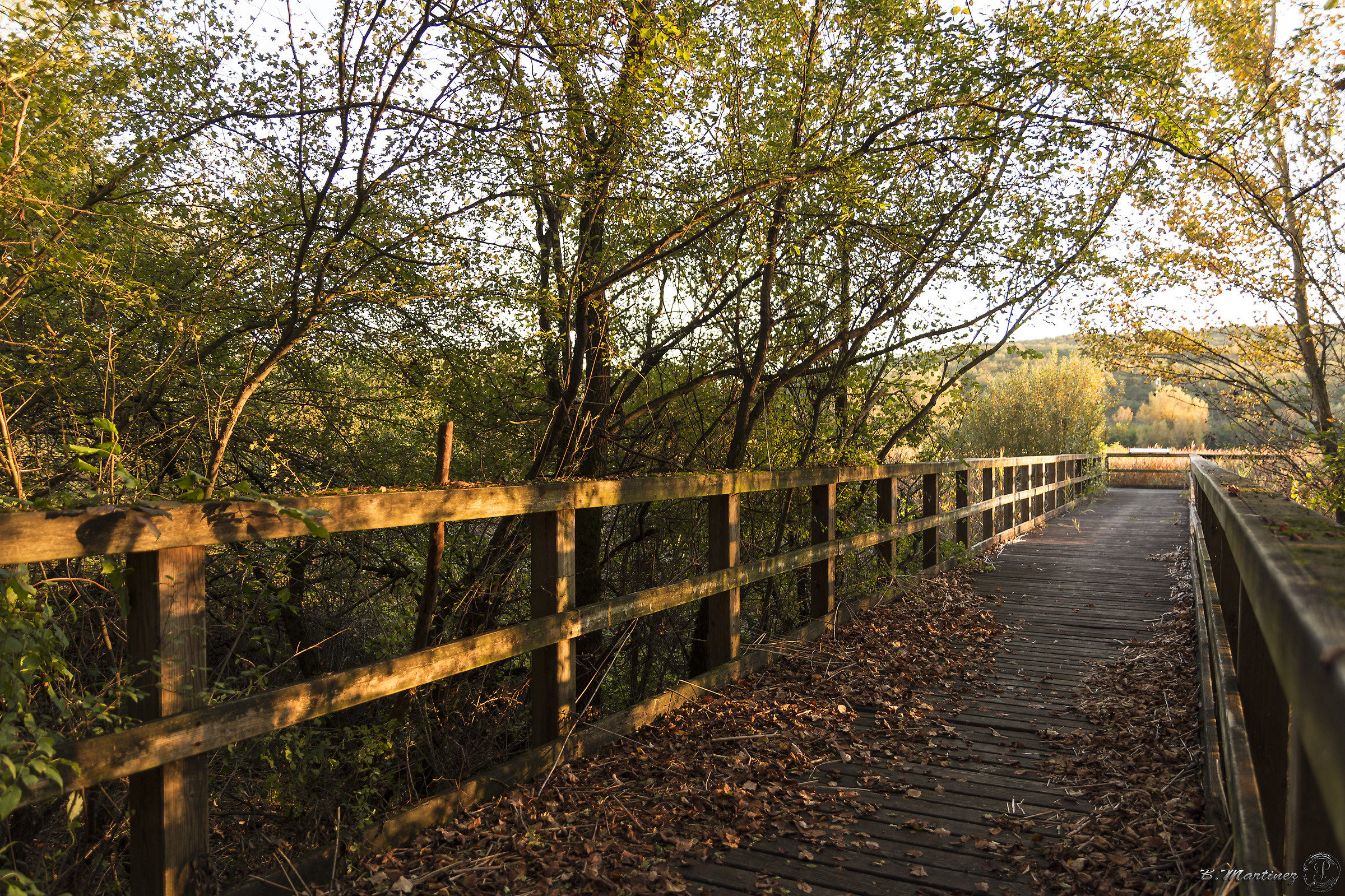 Doberdò del lago (go)
