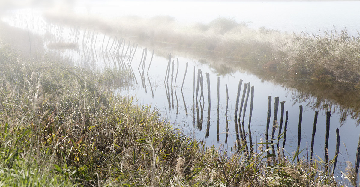 Valleys of the Po Delta 3