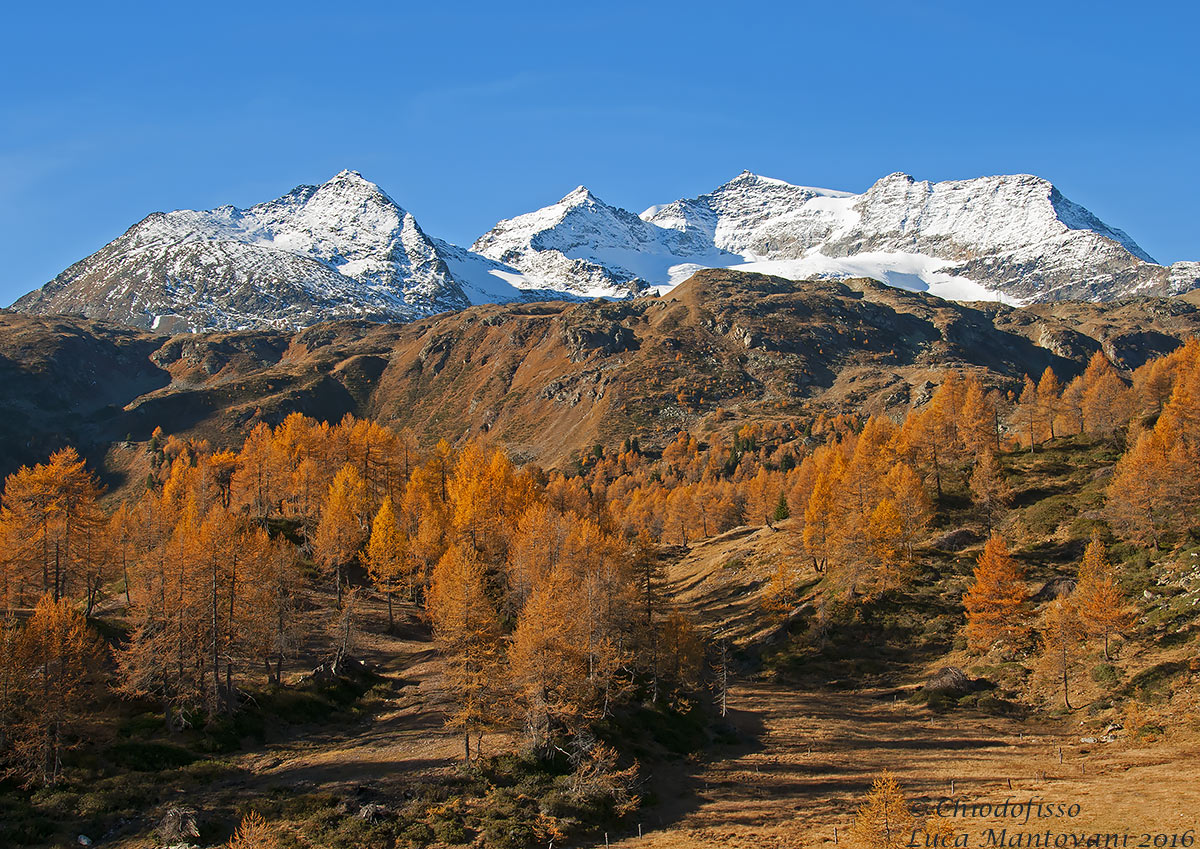 Salendo verso il Passo del Bernina