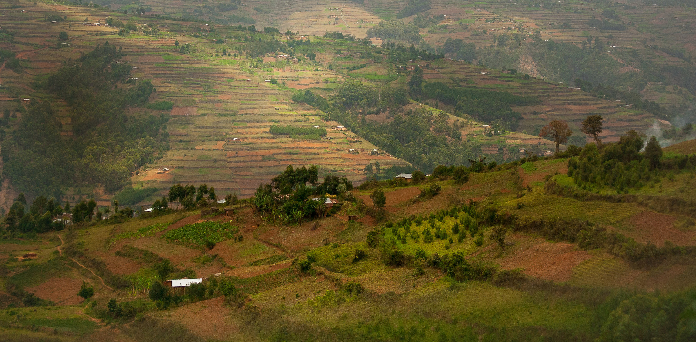 Terraces (Uganda)