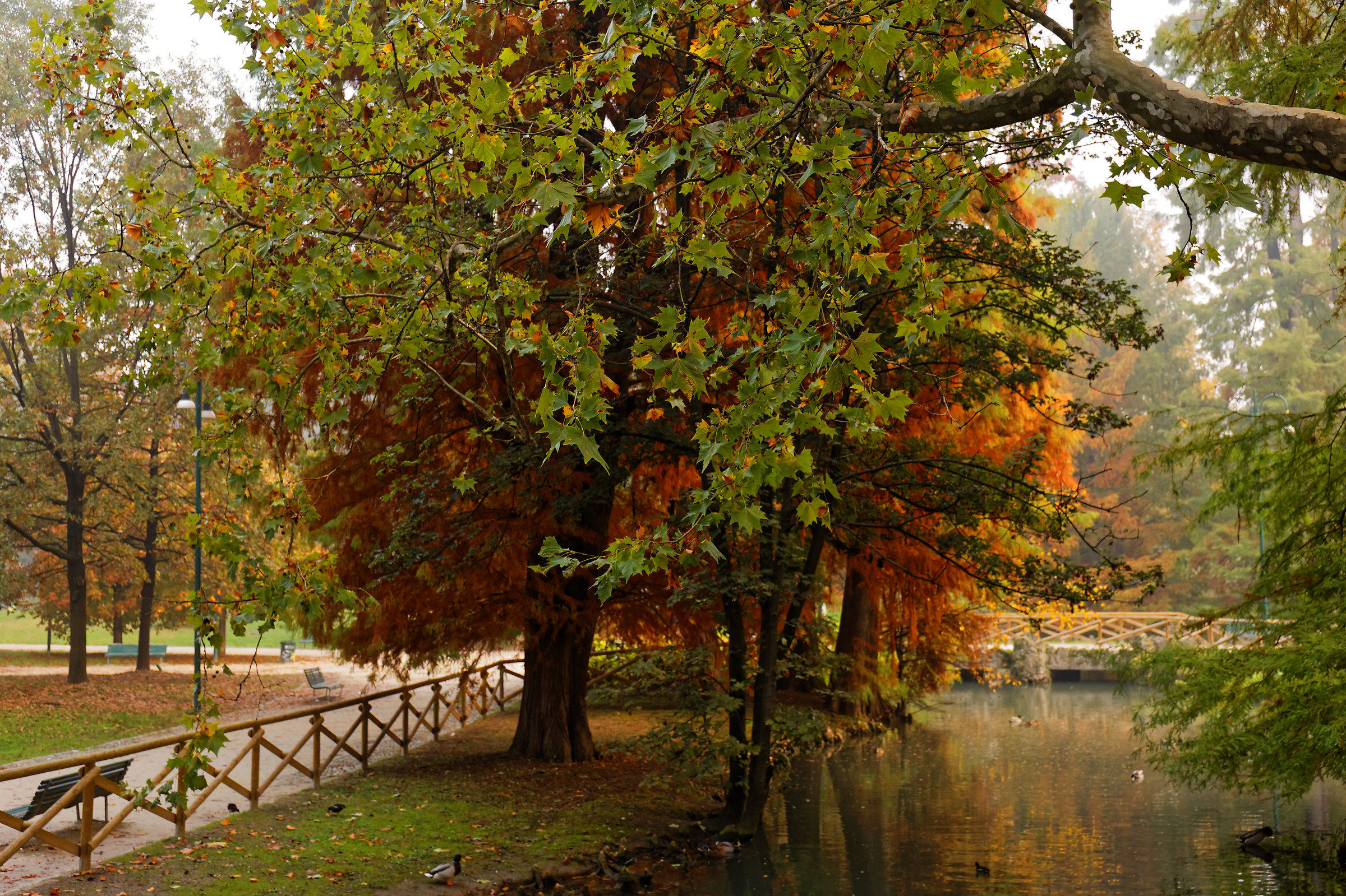 Autumn in Milan 4