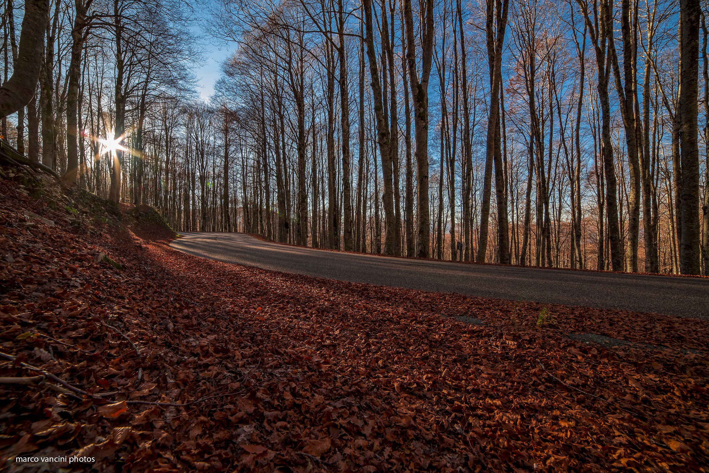 la magia dell'autunno
