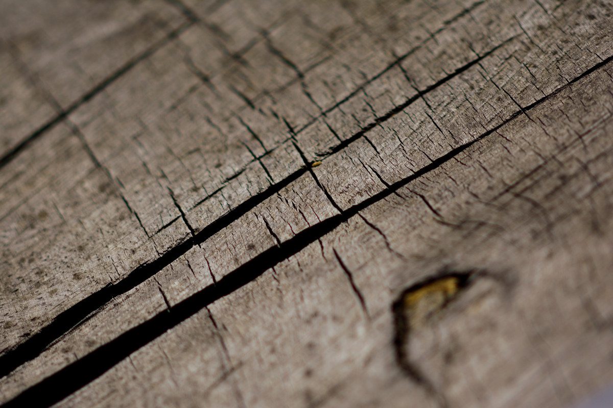 Legno - Val Fondillo 20161101