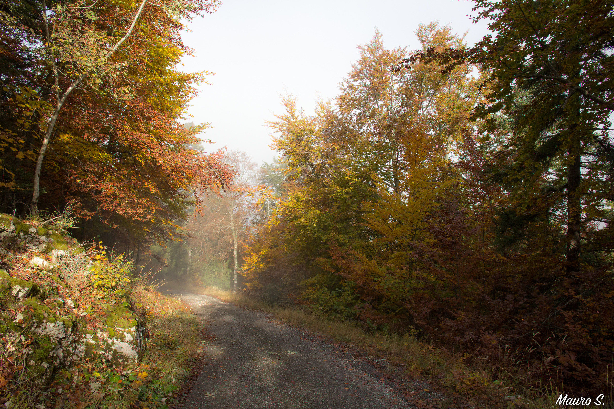 I colori dell'autunno