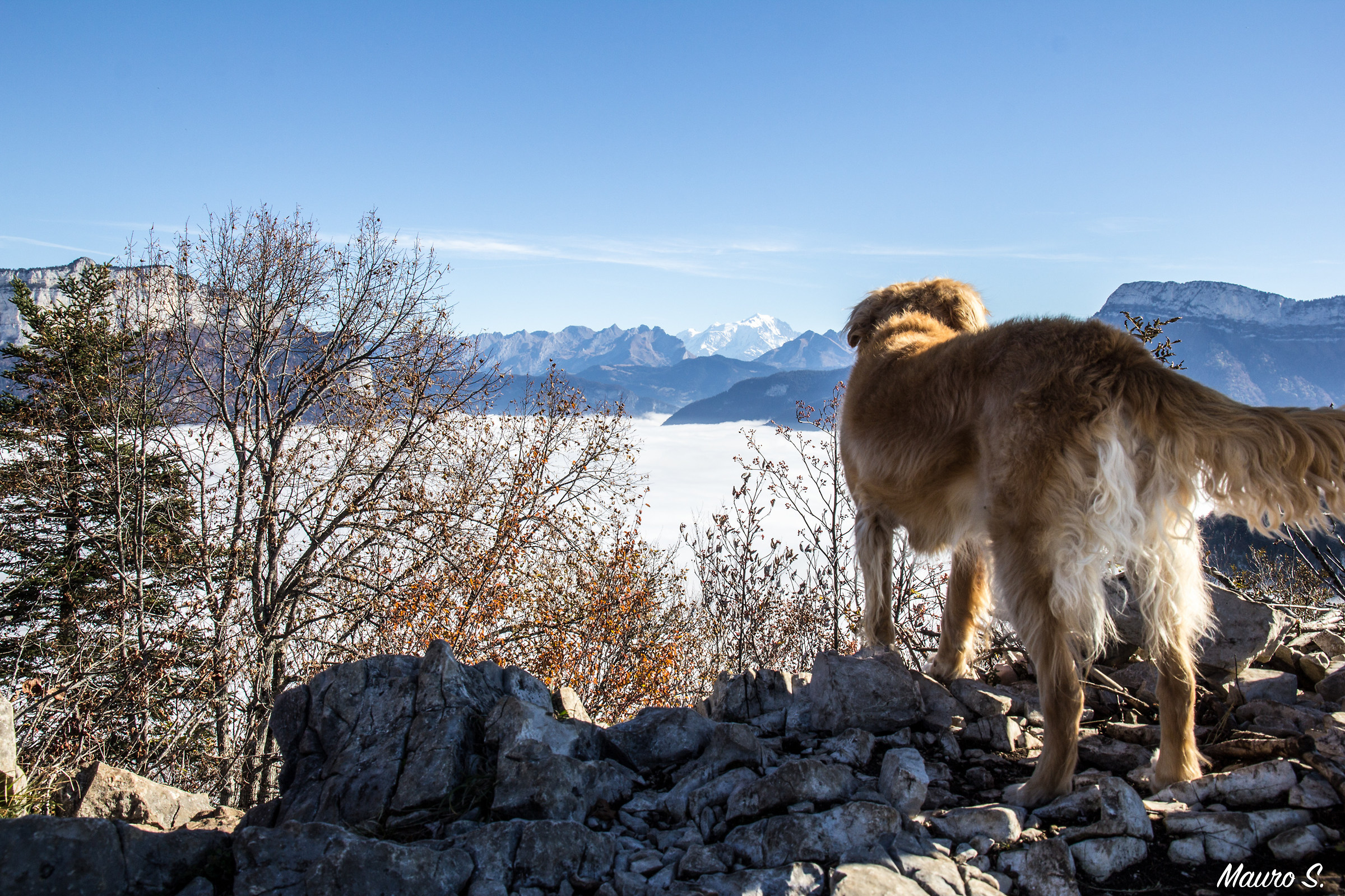 Osservando il Monte Bianco