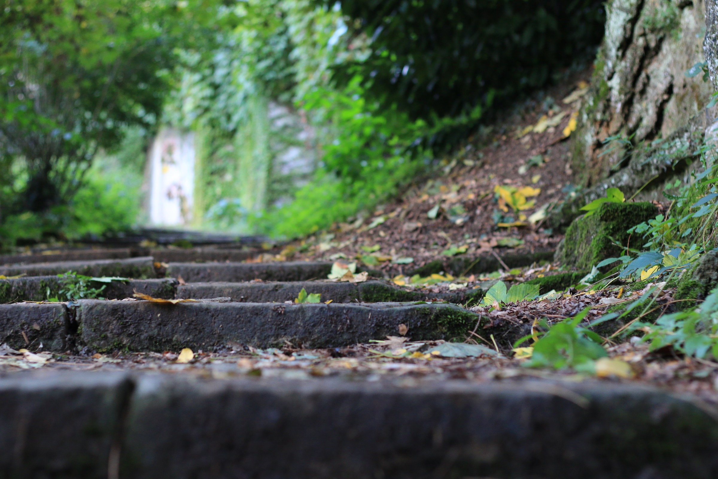 Walking towards the Castle