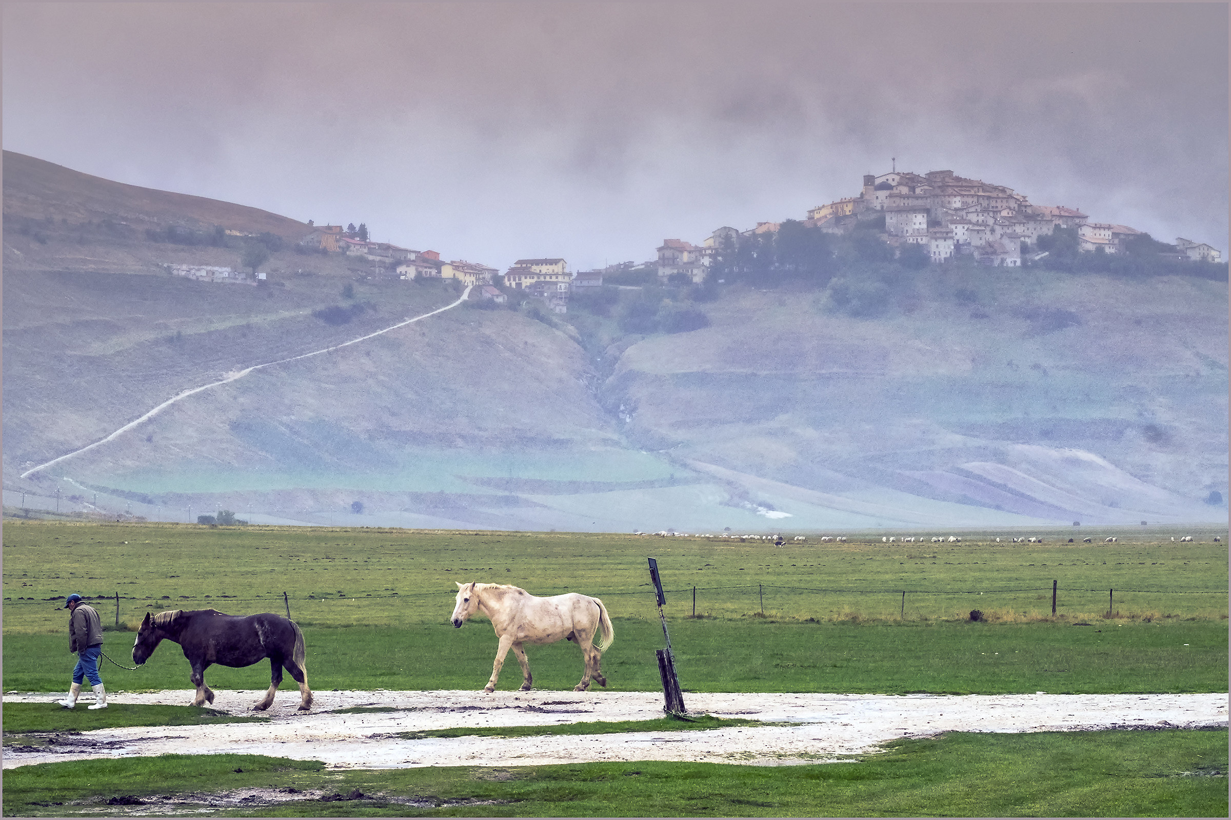 The last pasture ...