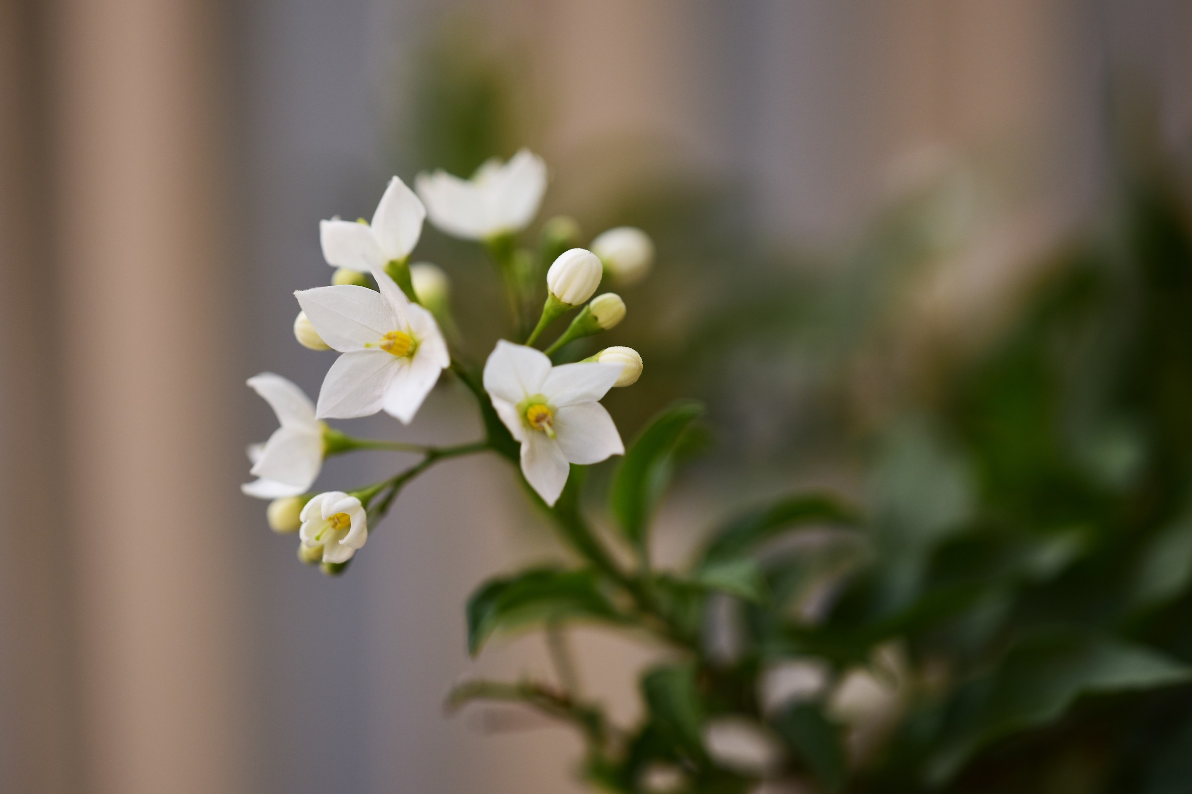 Untitled Photo