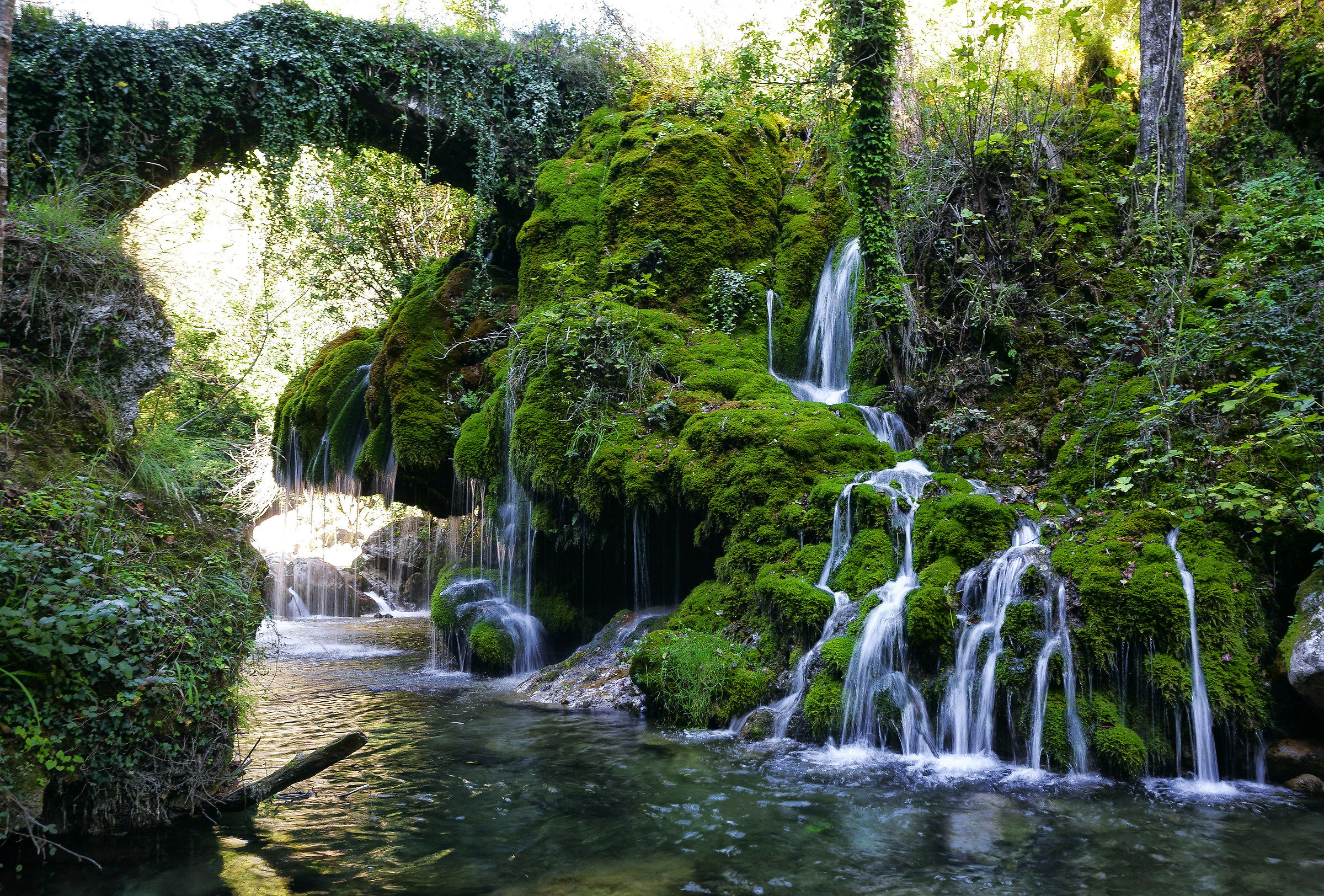 Oasi wwf- Capelli di Venere