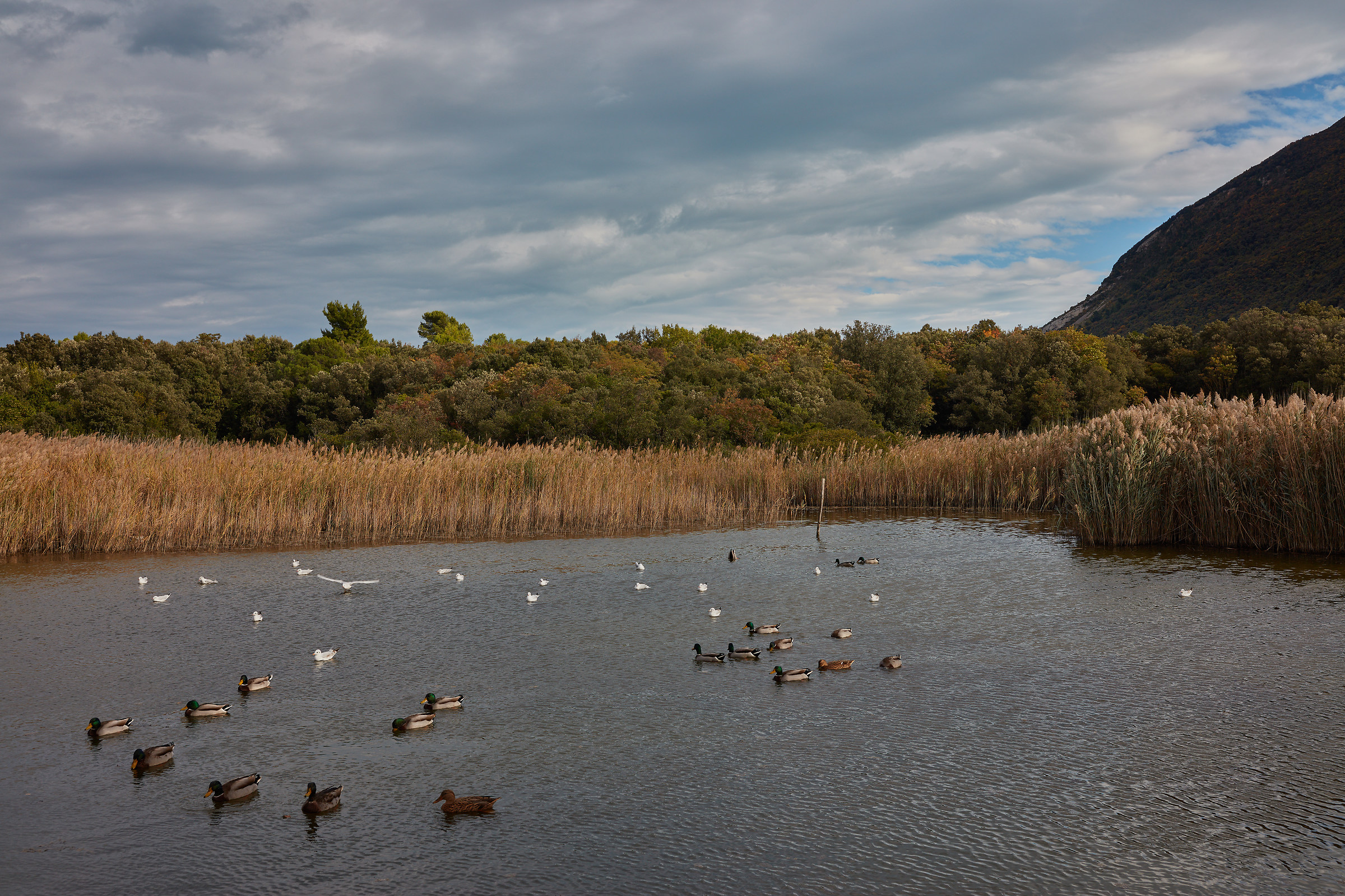 Portonovo - Lago Grande