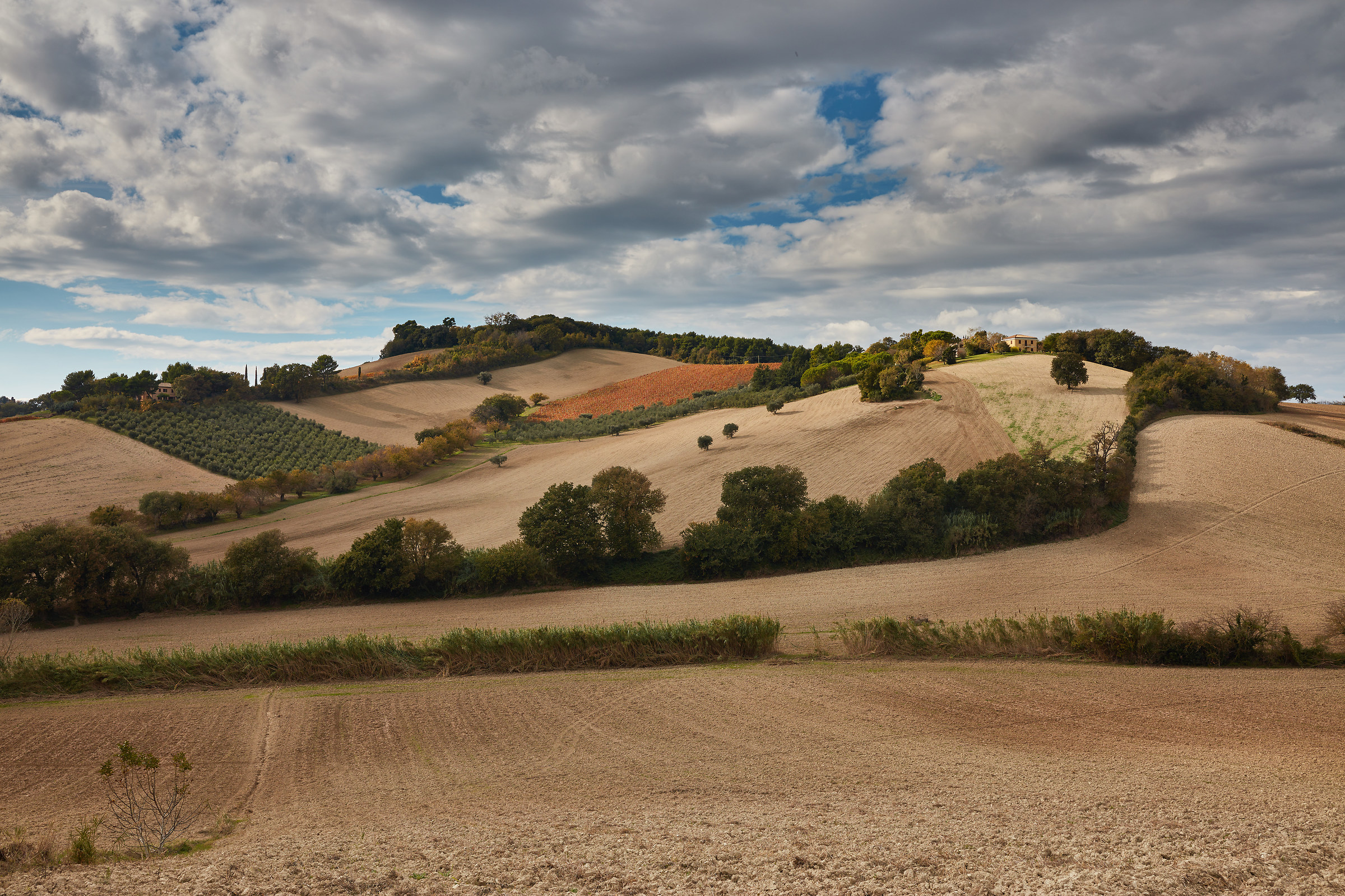 Ancona - colline sulla via del Conero