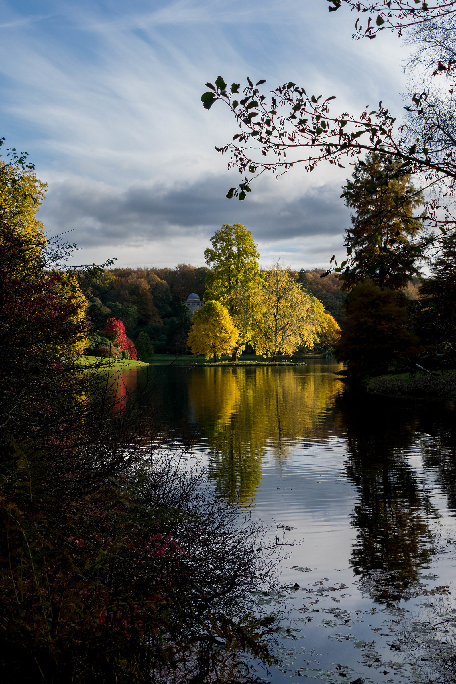 Gli alberi con The Sunshine Foglie