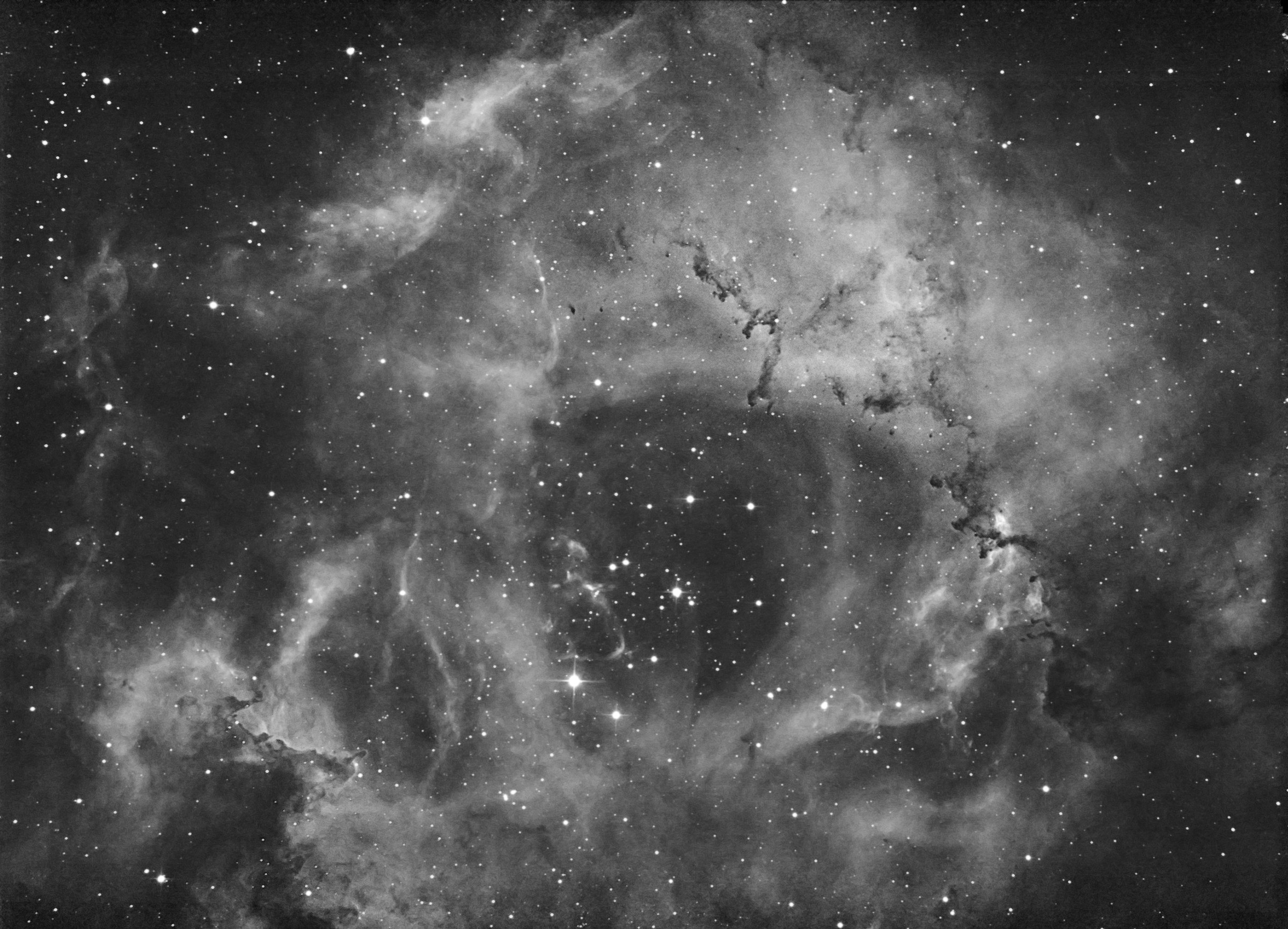 Rosette nebula