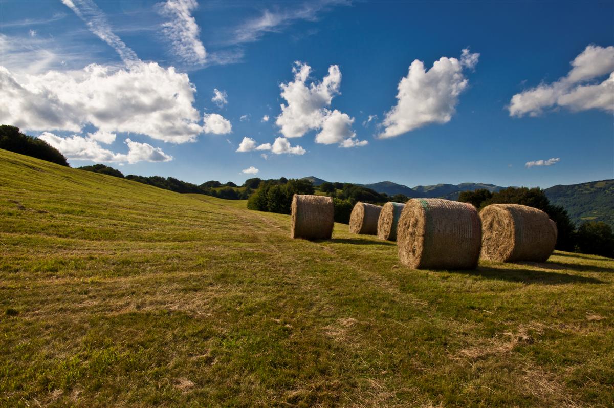 Monte Cavallo (Val Trebbia)
