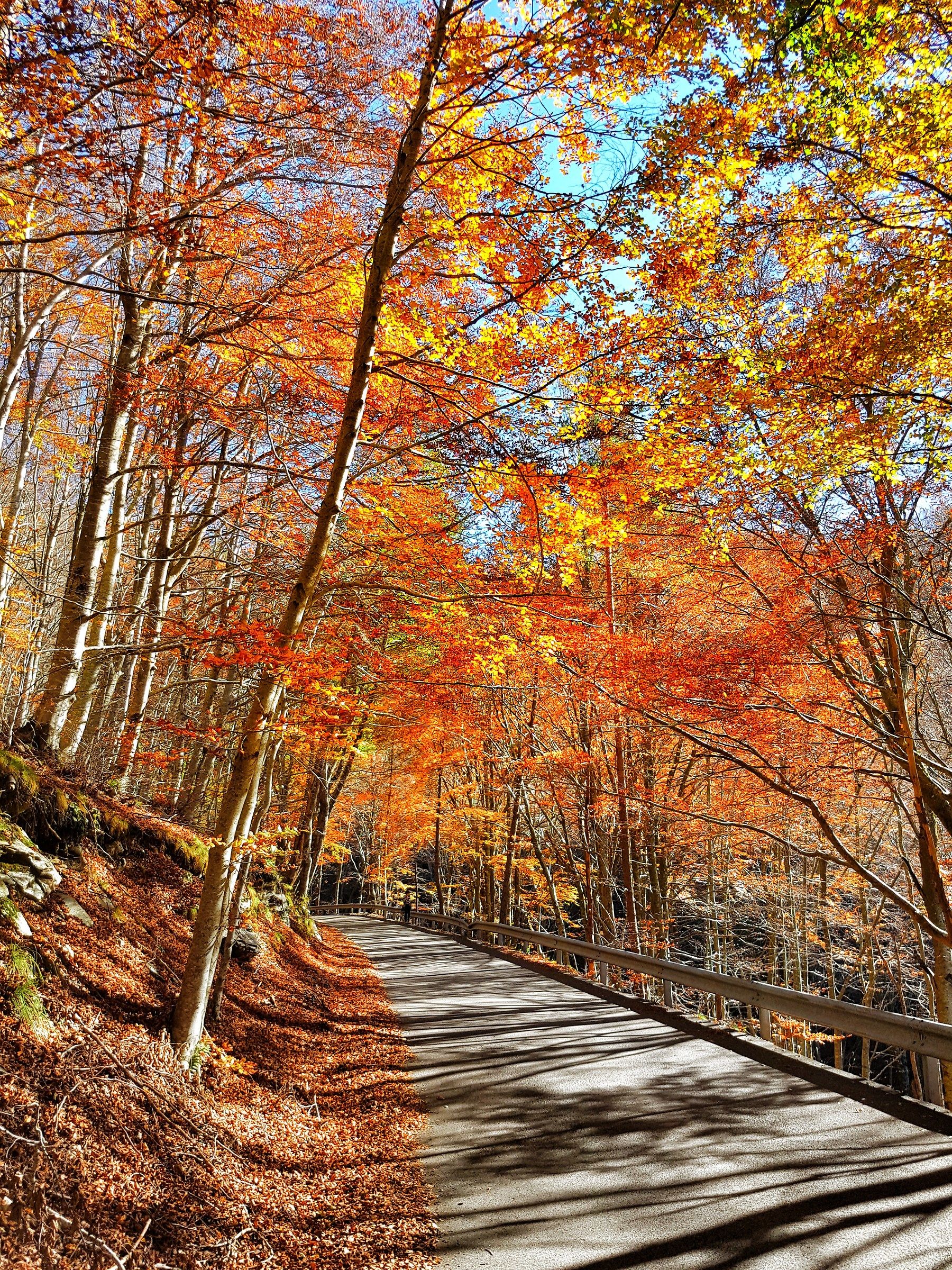 Foliage a due passi dal mare