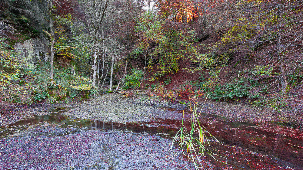 autunno al lago d'elio