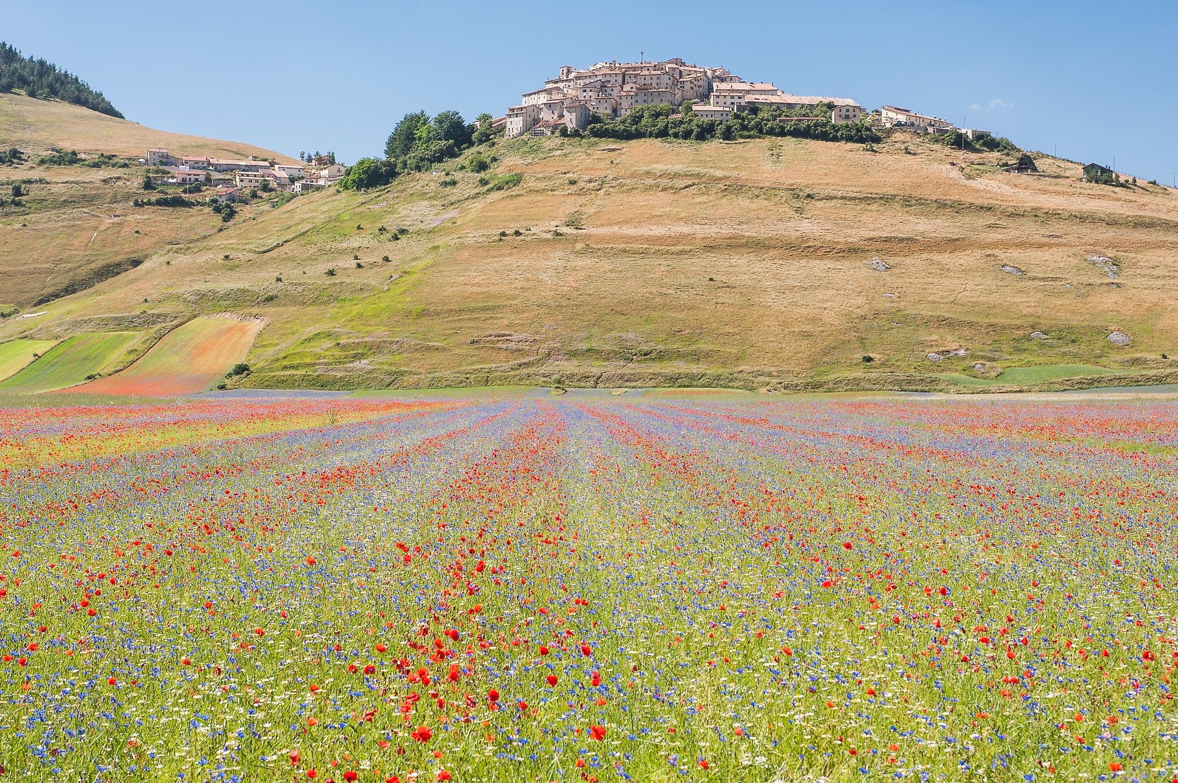 Castelluccio