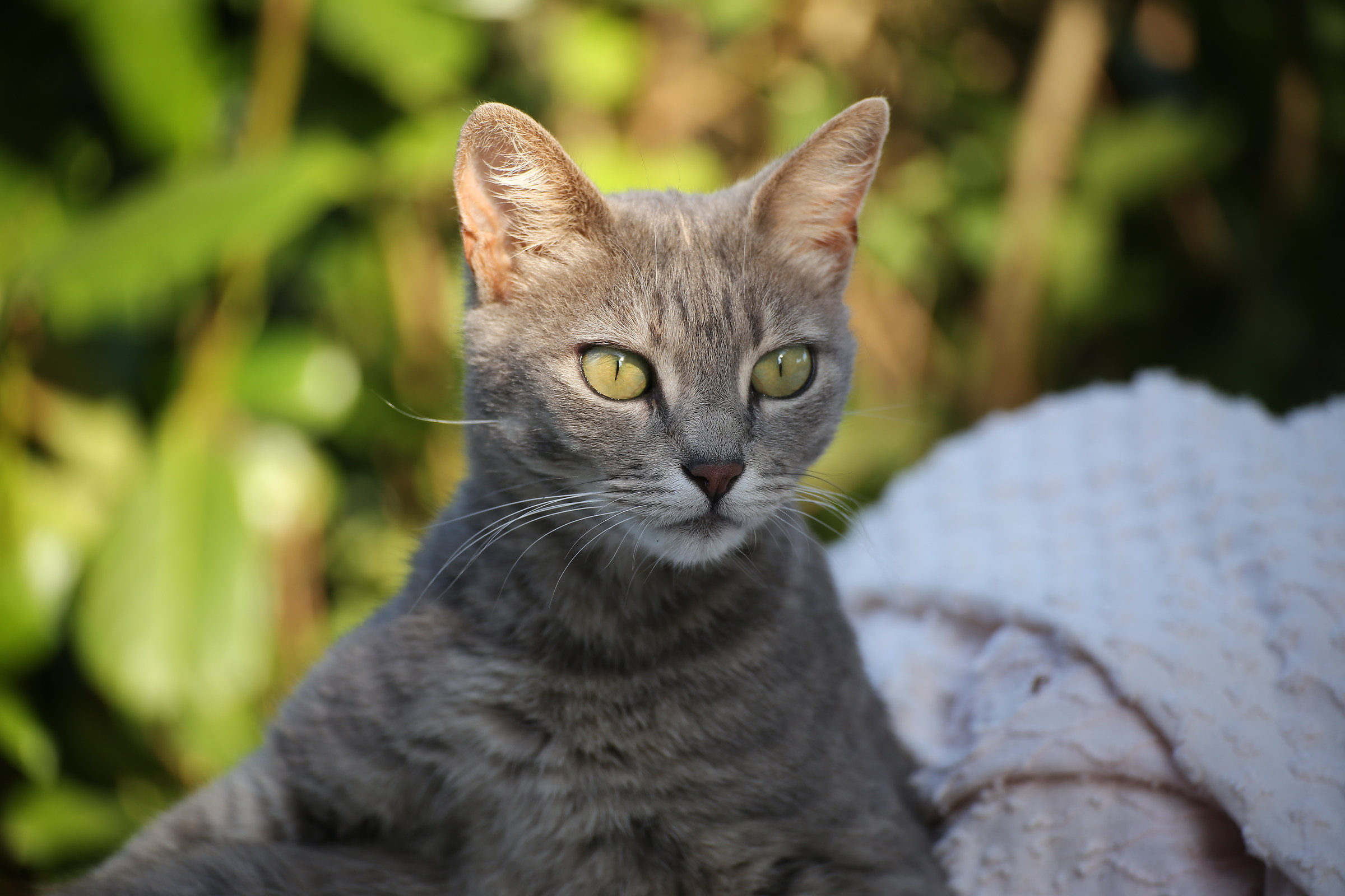 hei !! what did you see?