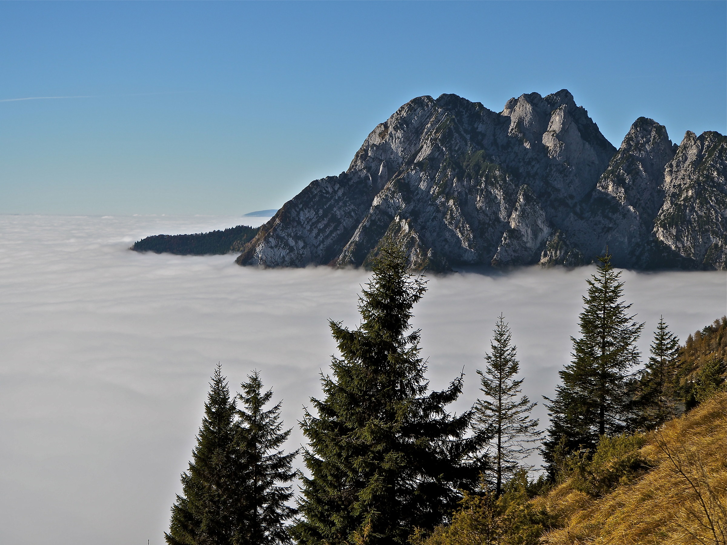 "As a ship that sails the ocean"