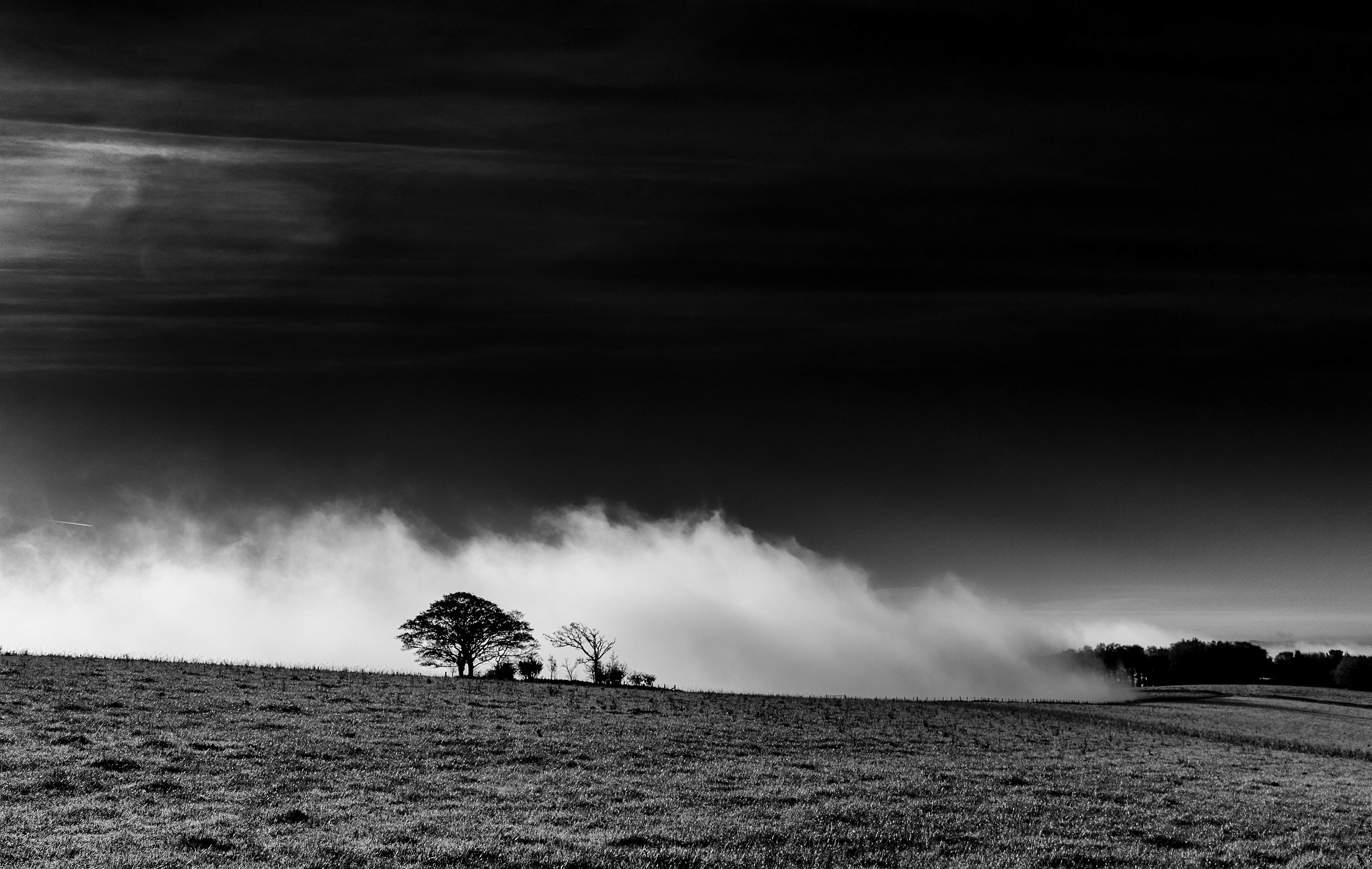 Minacciare di fagocitare