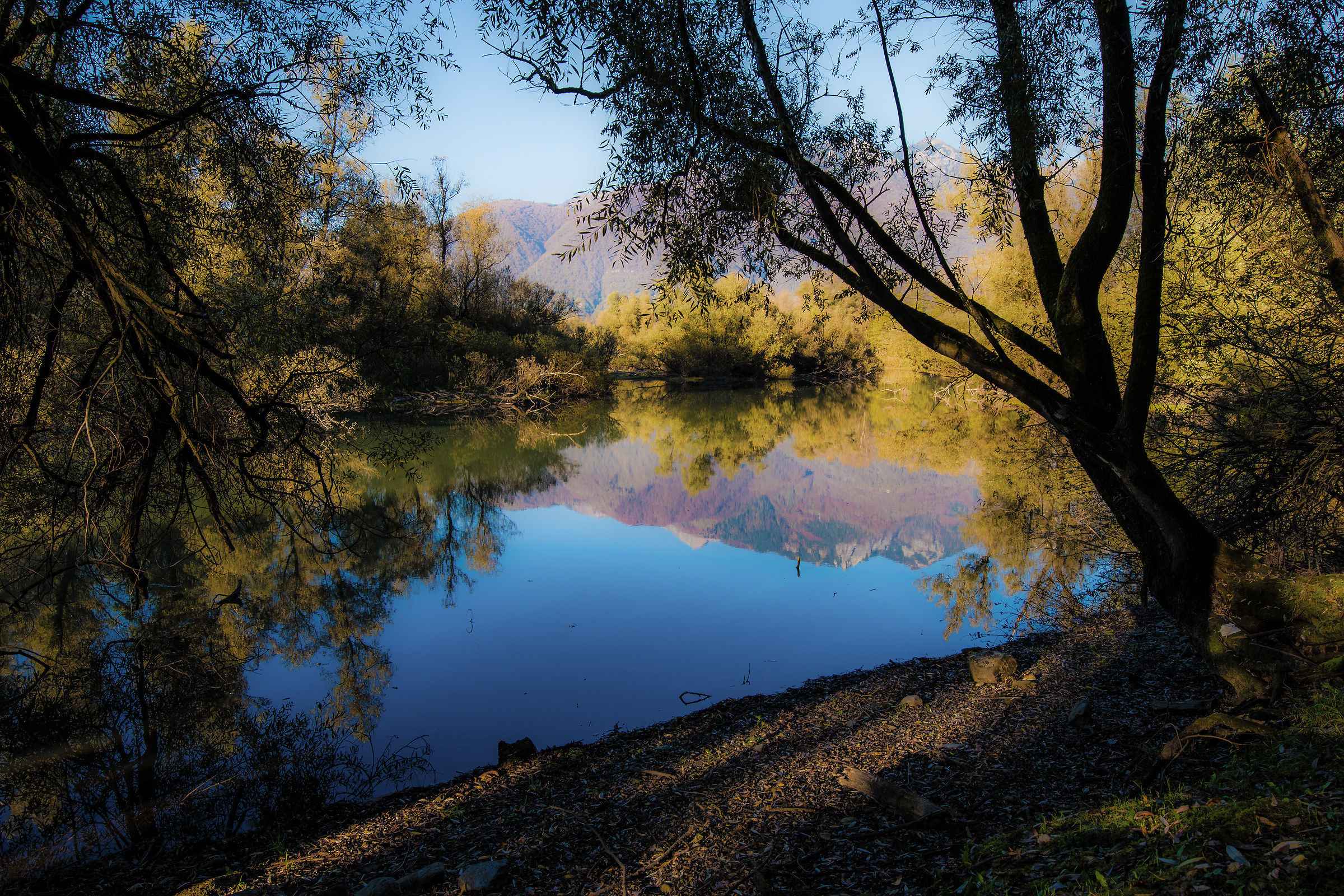 Le bolle di Magadino