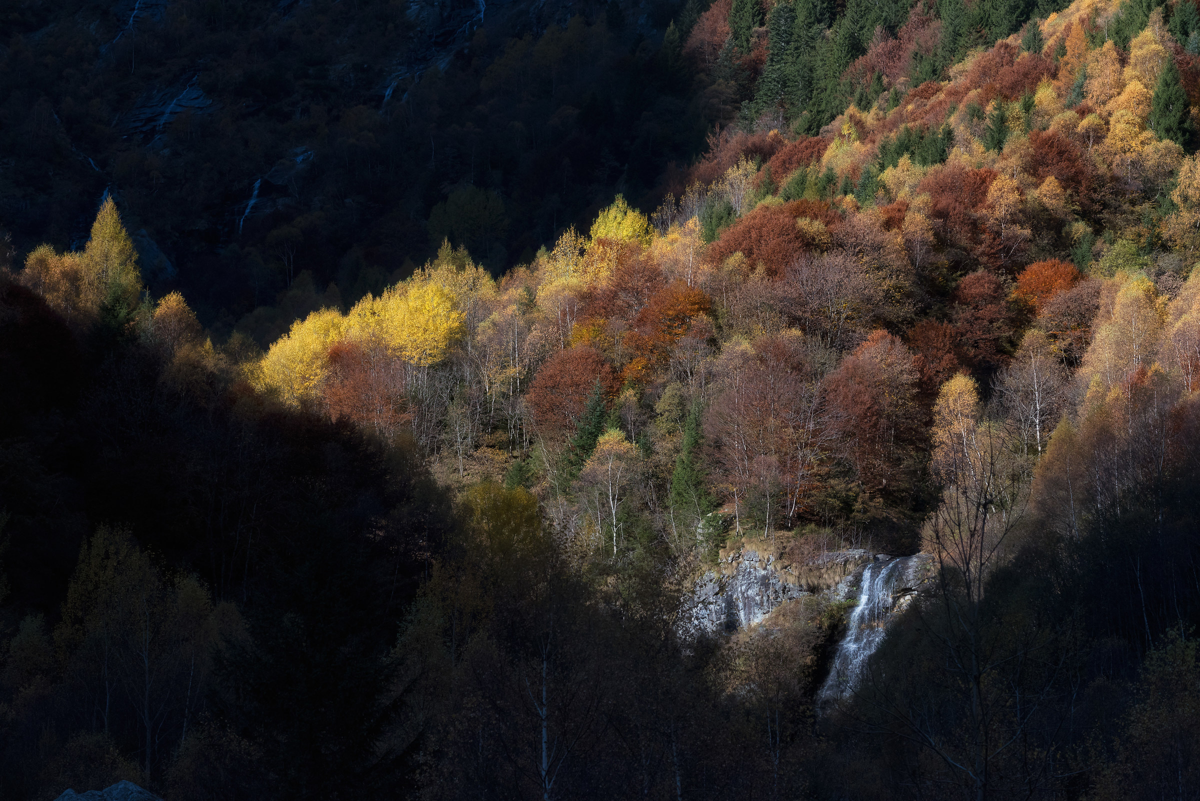 Pennellate autunnali in Val Masino