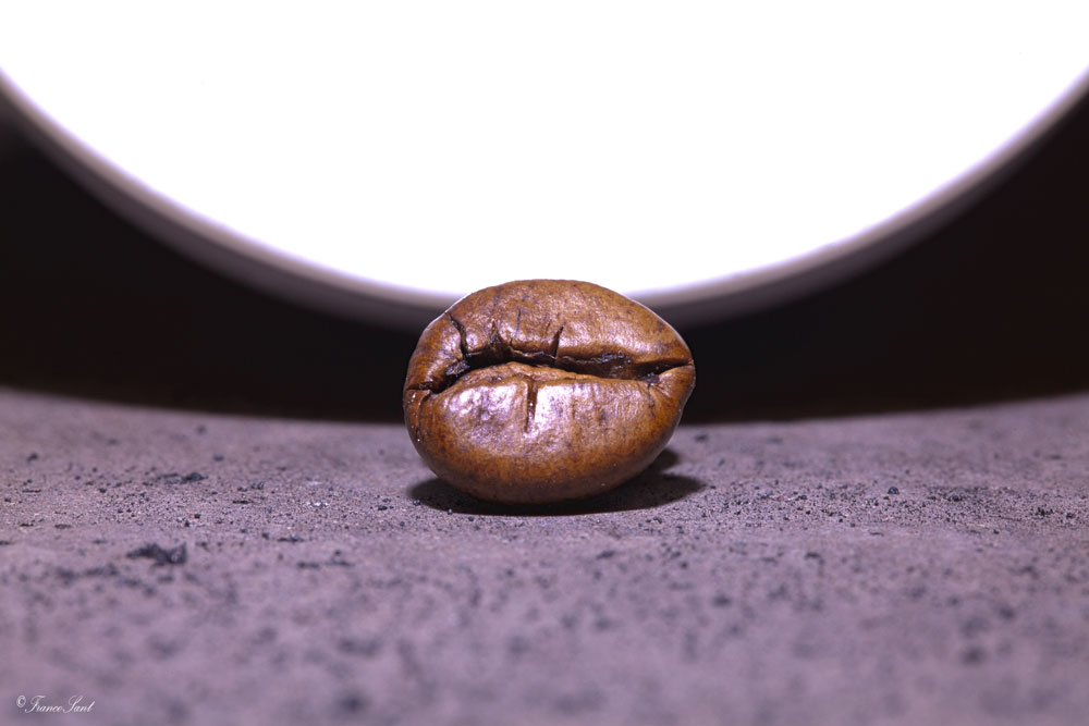 .... The depositary of our desires, moods and loves