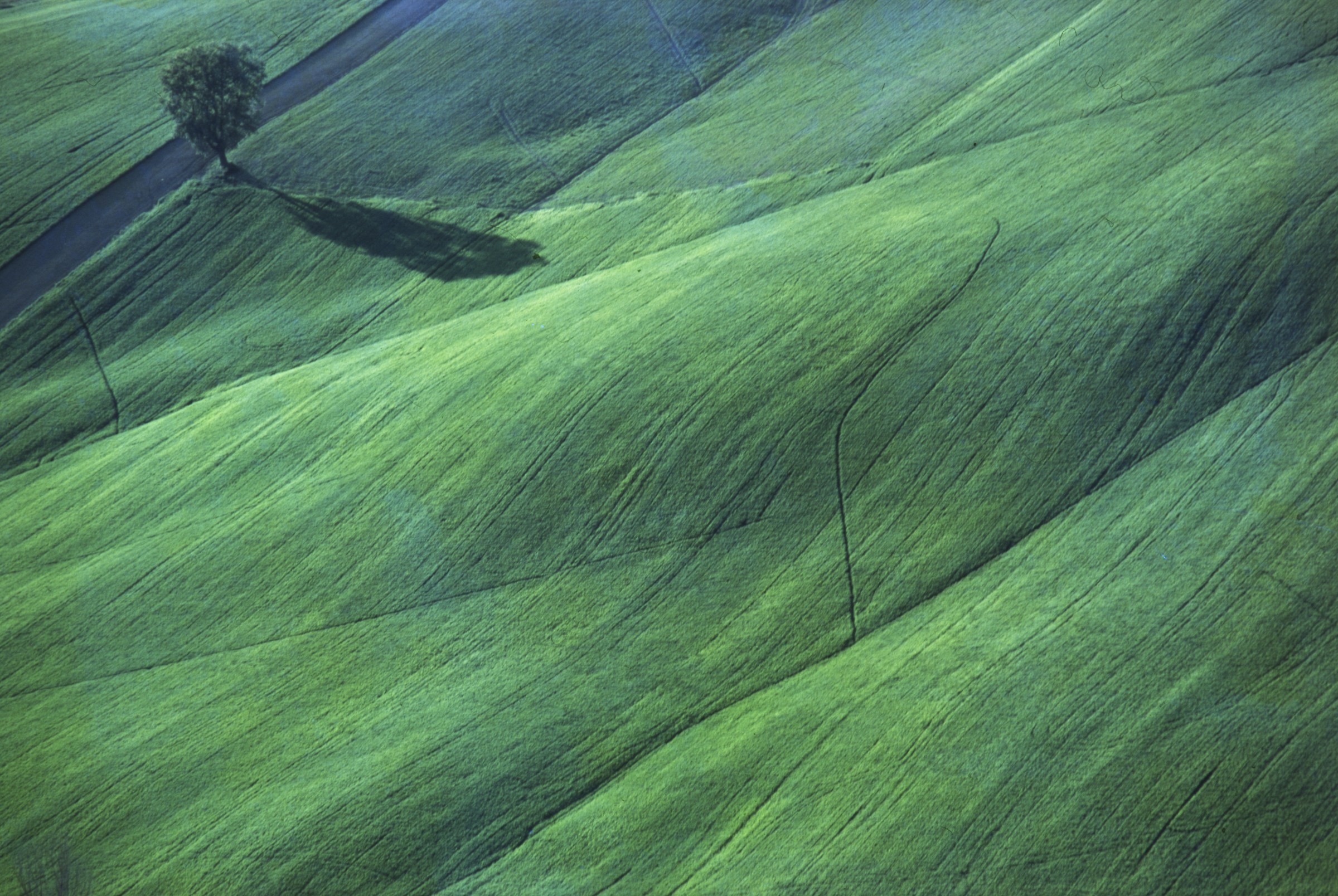 green mantle