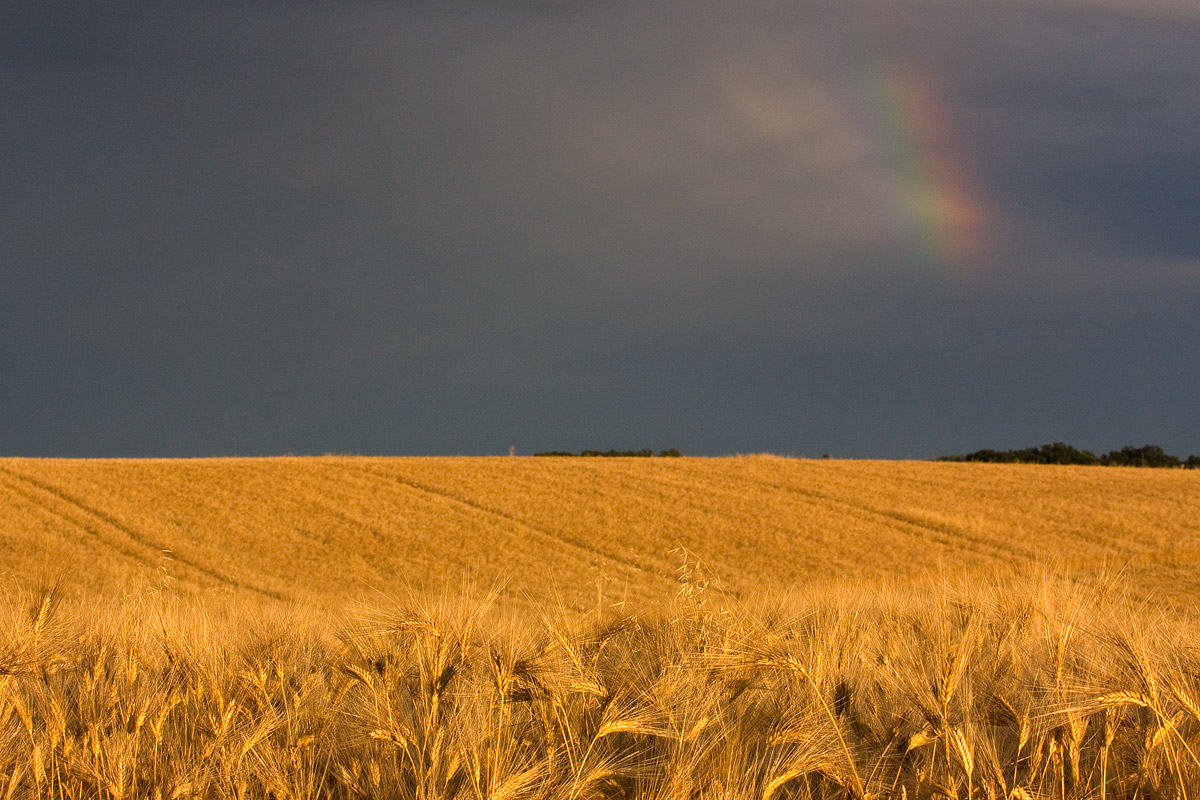 Thunderstorm Valensole