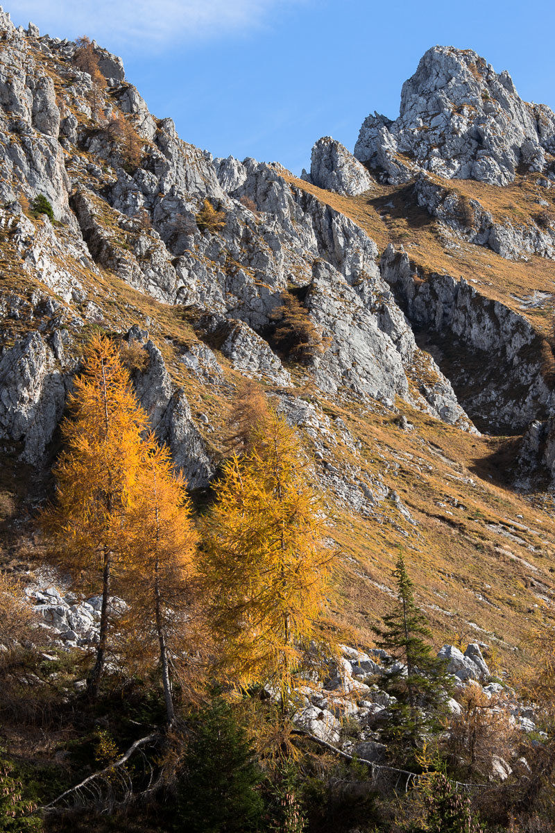 Glimpses of autumn to Campelli Schilpario ...