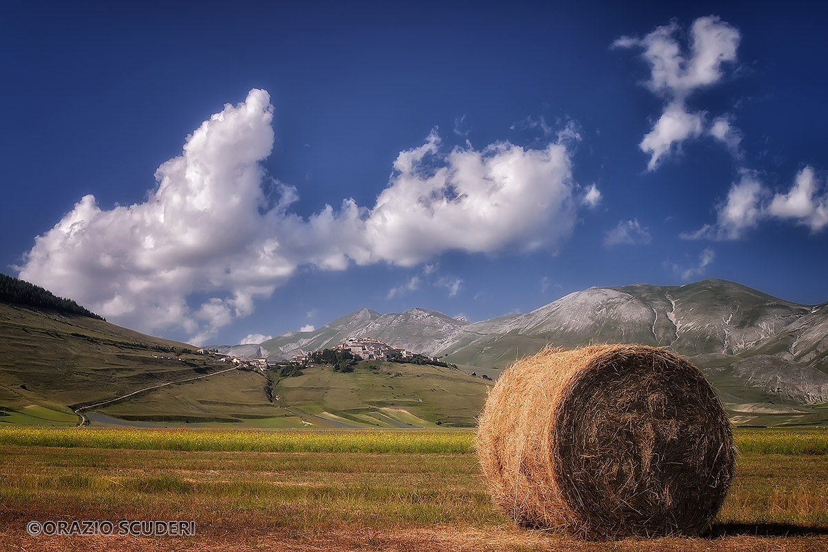 Castelluccio di Norcia non deve morire...