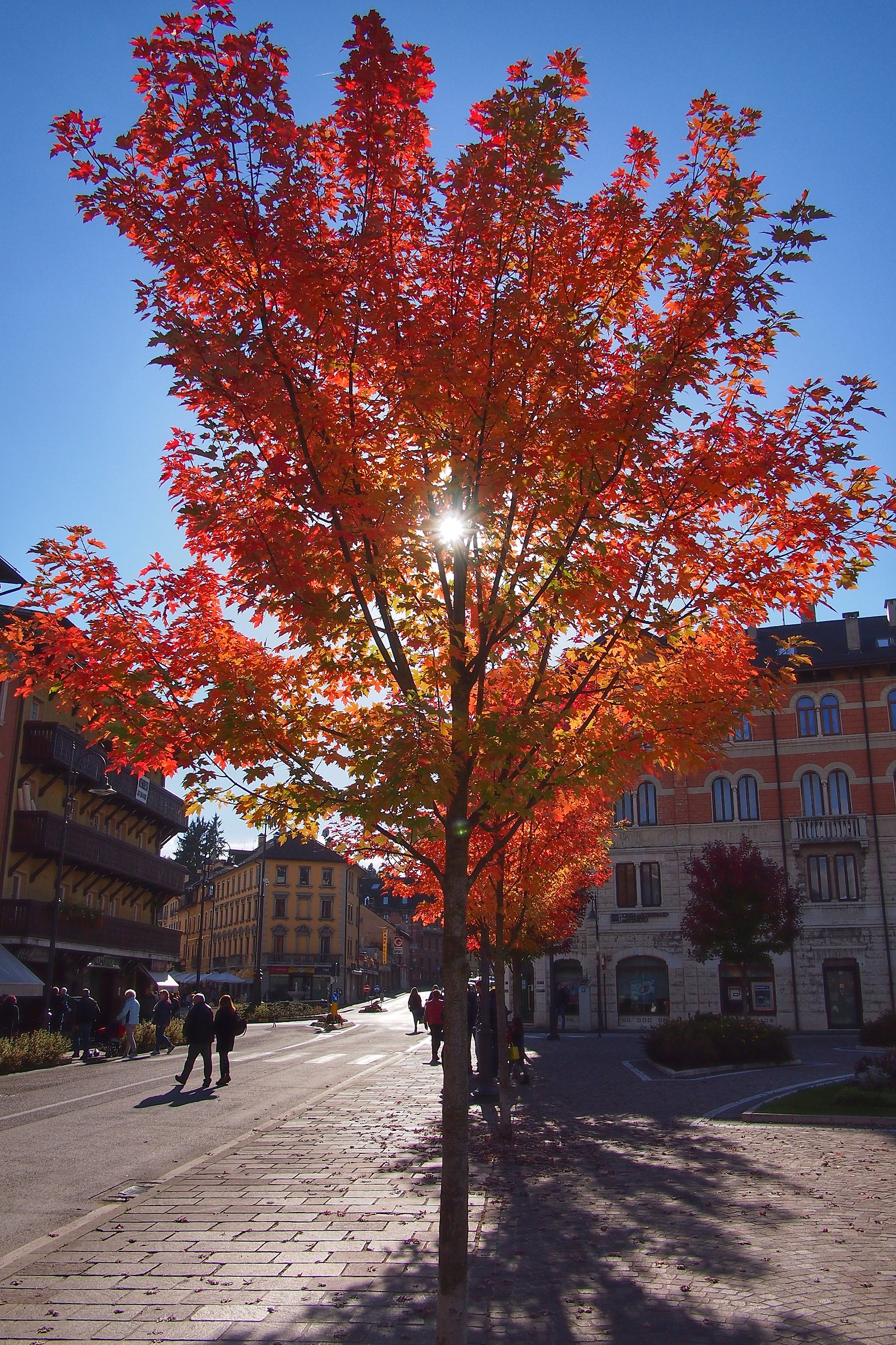 Autumn in Asiago