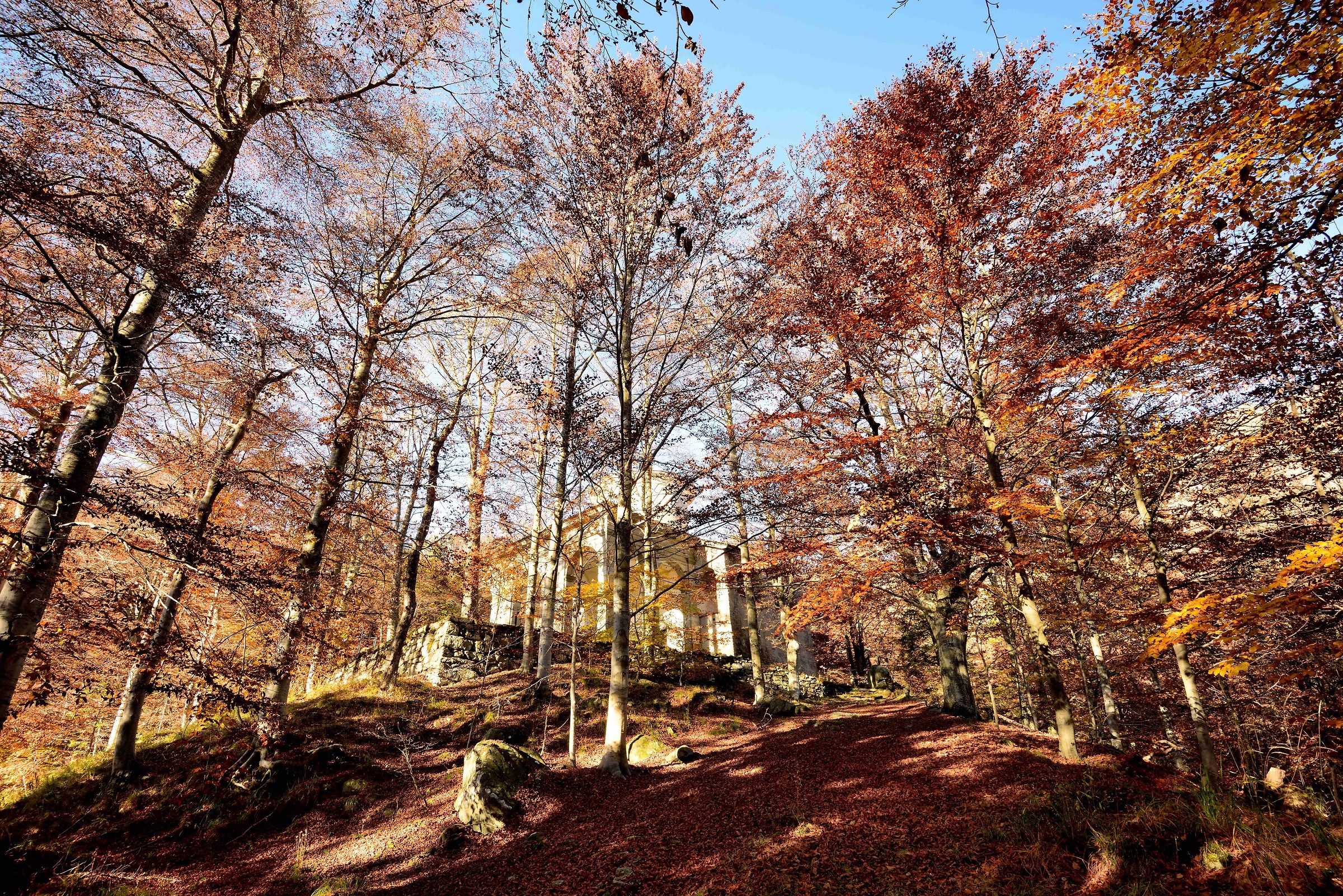 along the path Pope John Paul the second