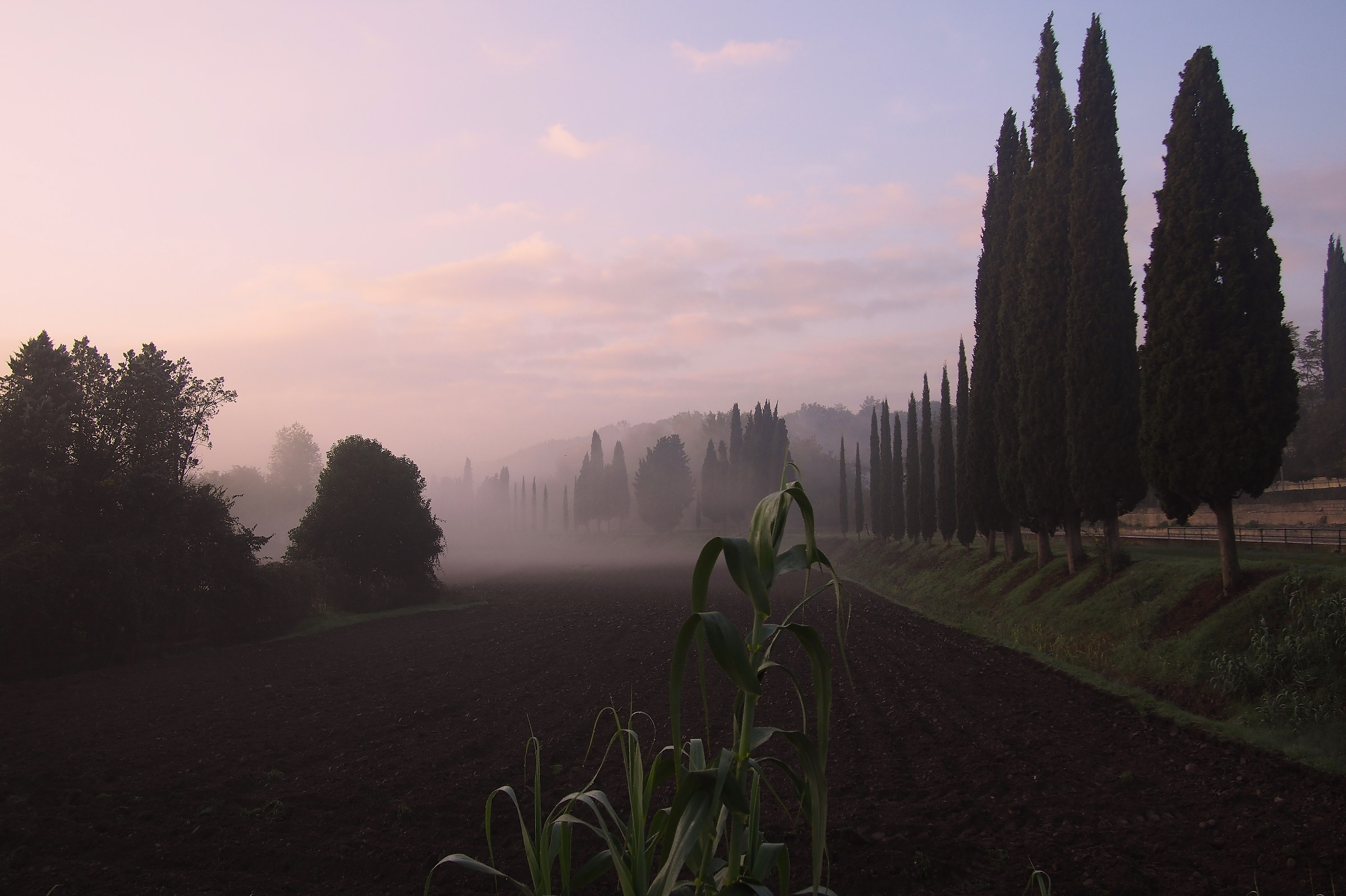 Alba - Autunno tra le Colline Moreniche