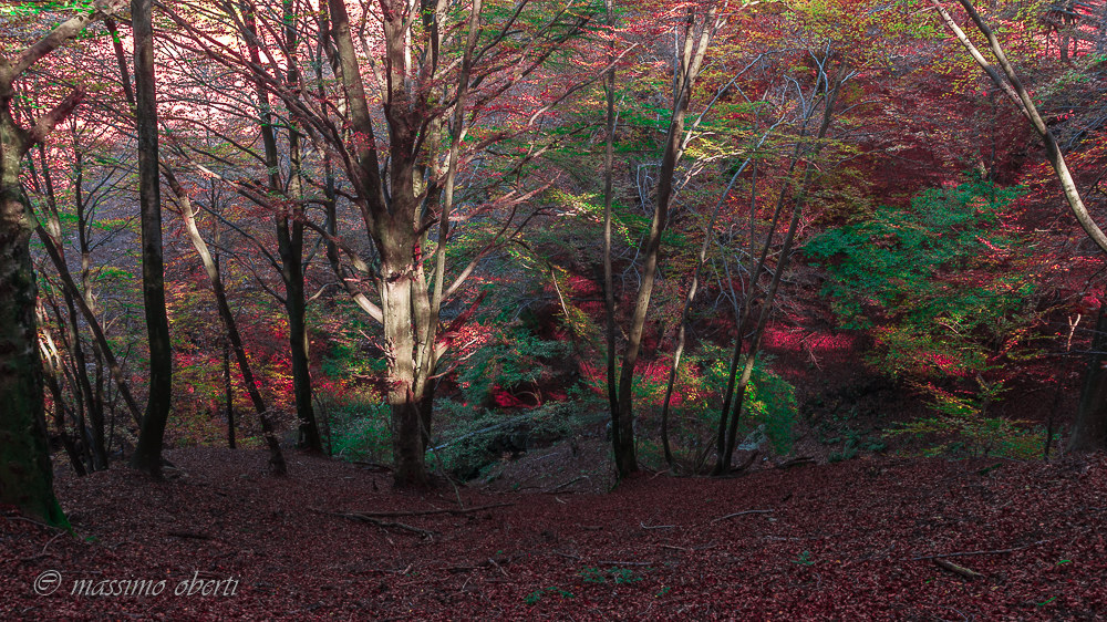 autunno al lago d'elio