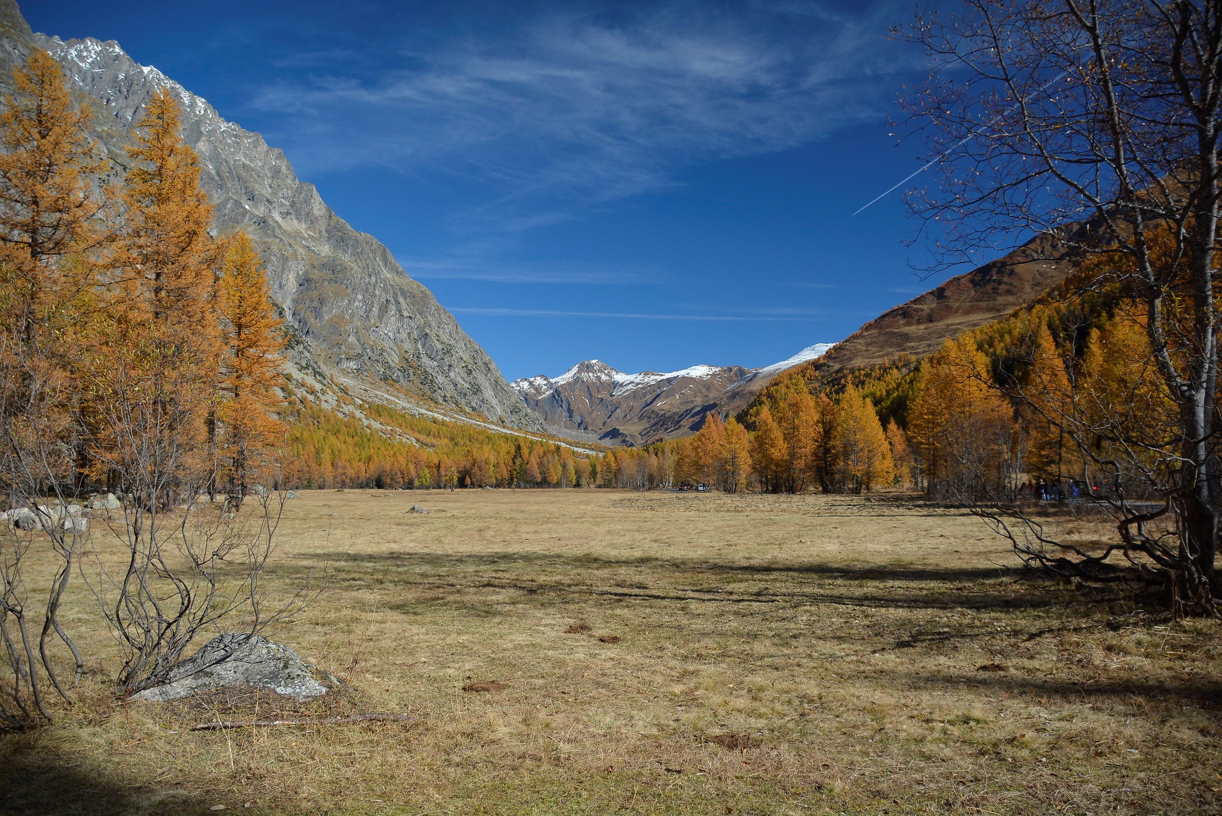 Val Ferret ( Courmayeur- AO )