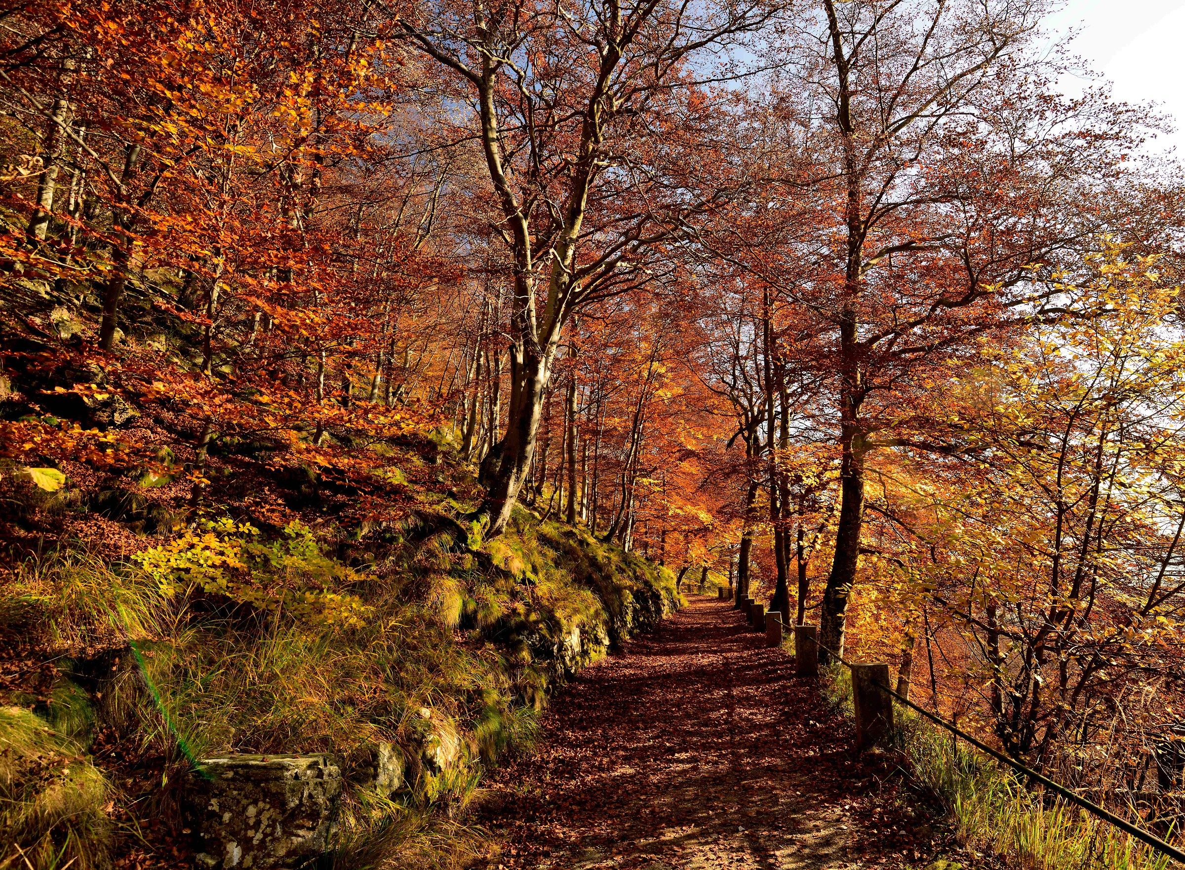 on the path of priests