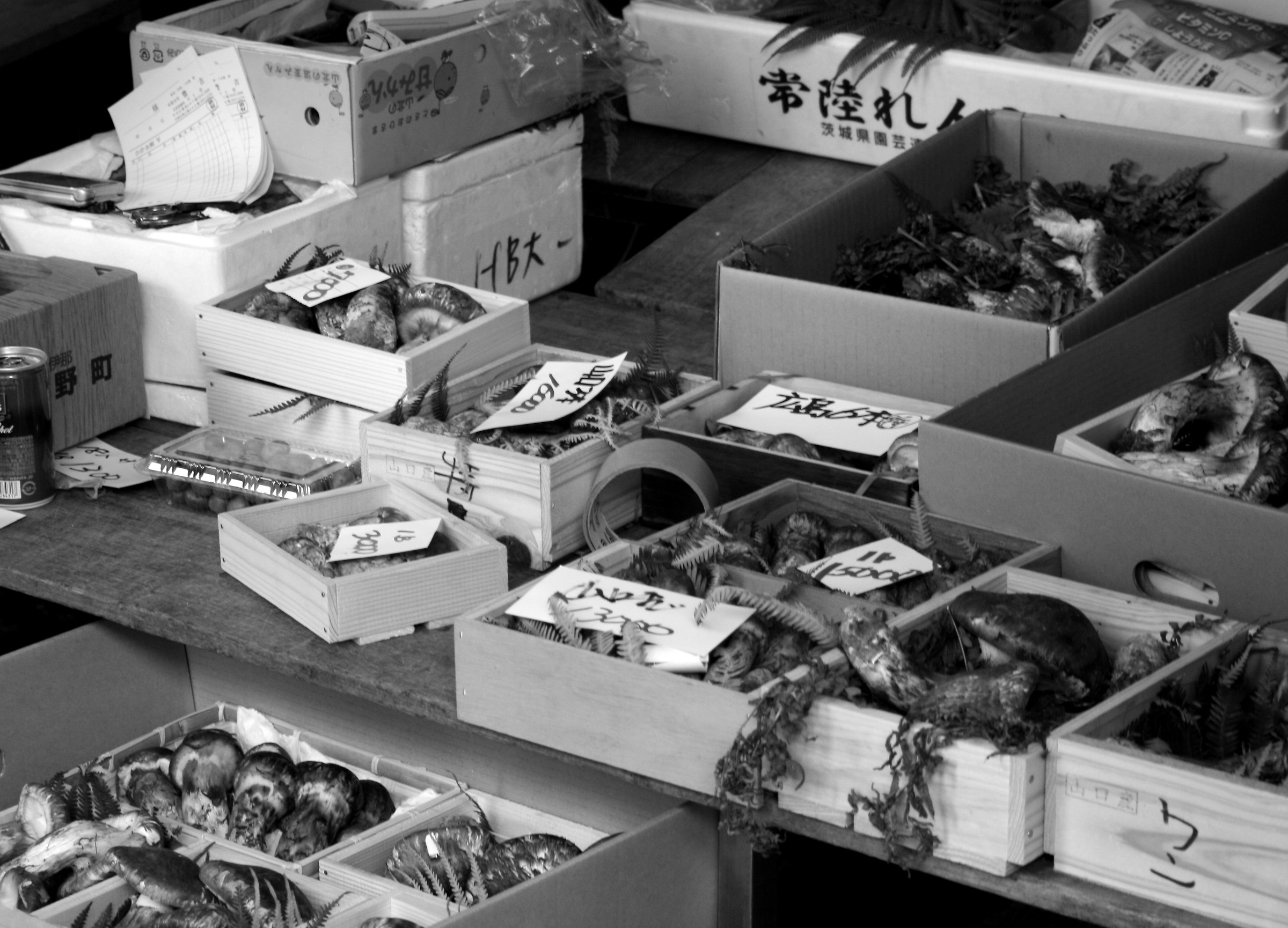 Stall at the fish market